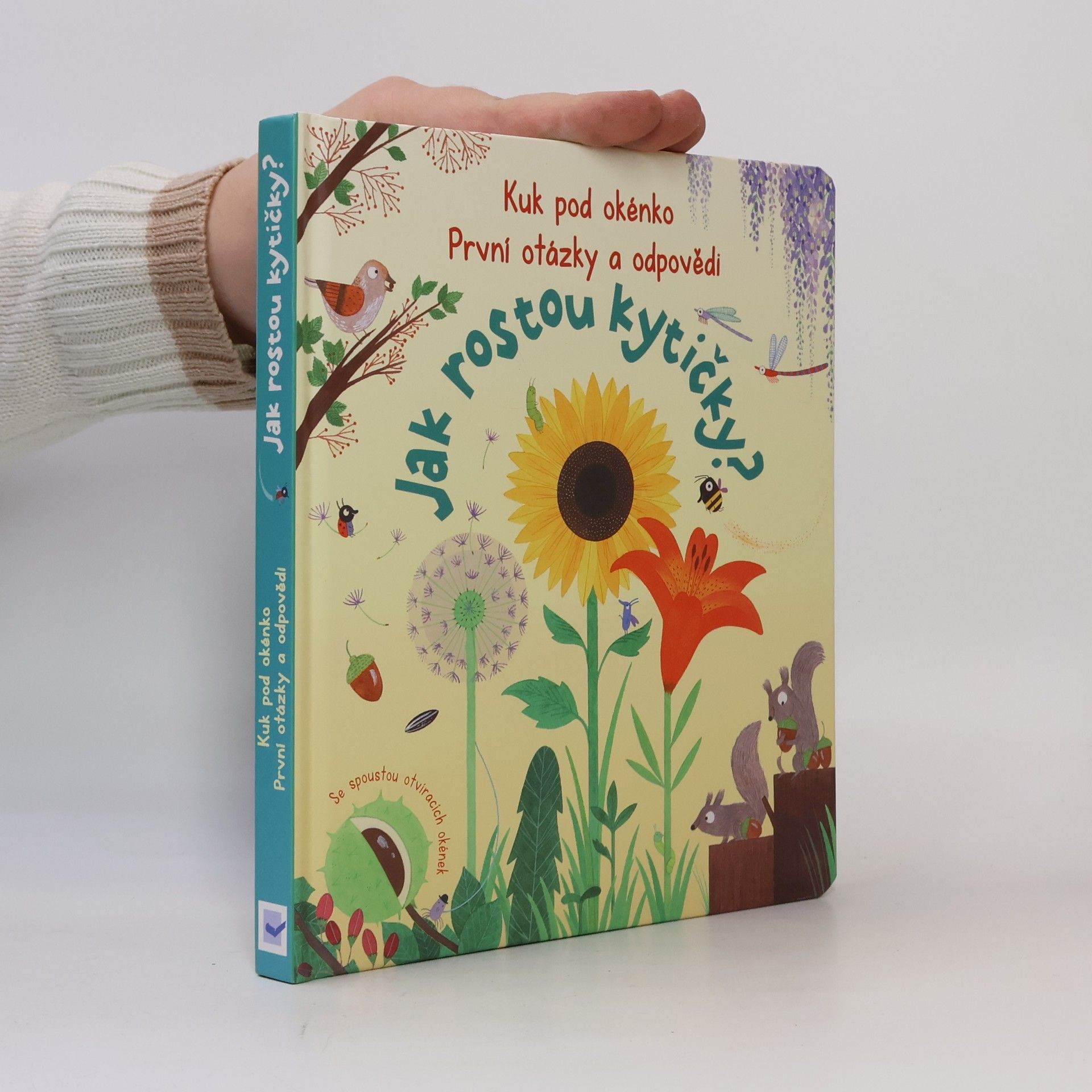 Katie Daynes Jak rostou kytičky?