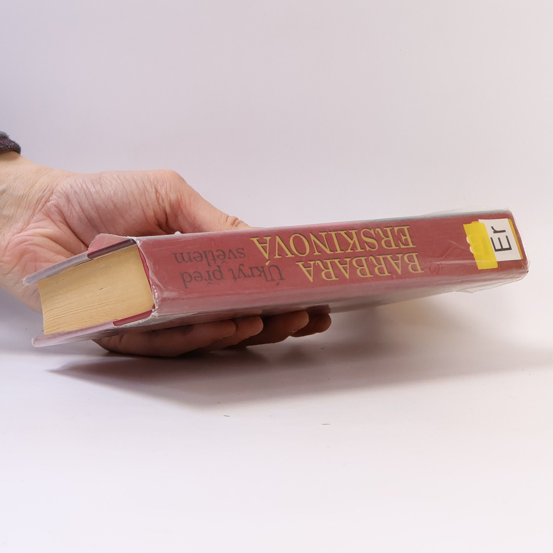 Barbara Erskine Úkryt před světlem