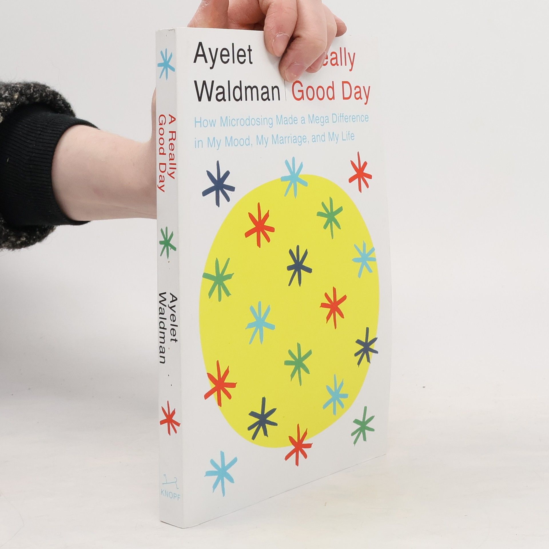 Ayelet Waldman A Really Good Day