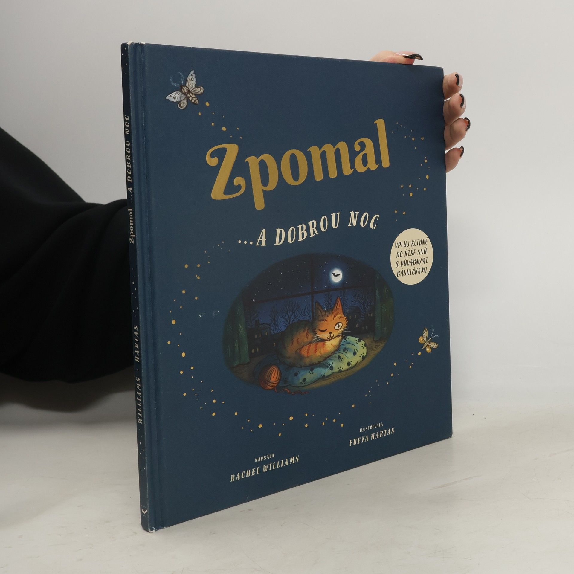 Rachel Williams Zpomal ...a dobrou noc