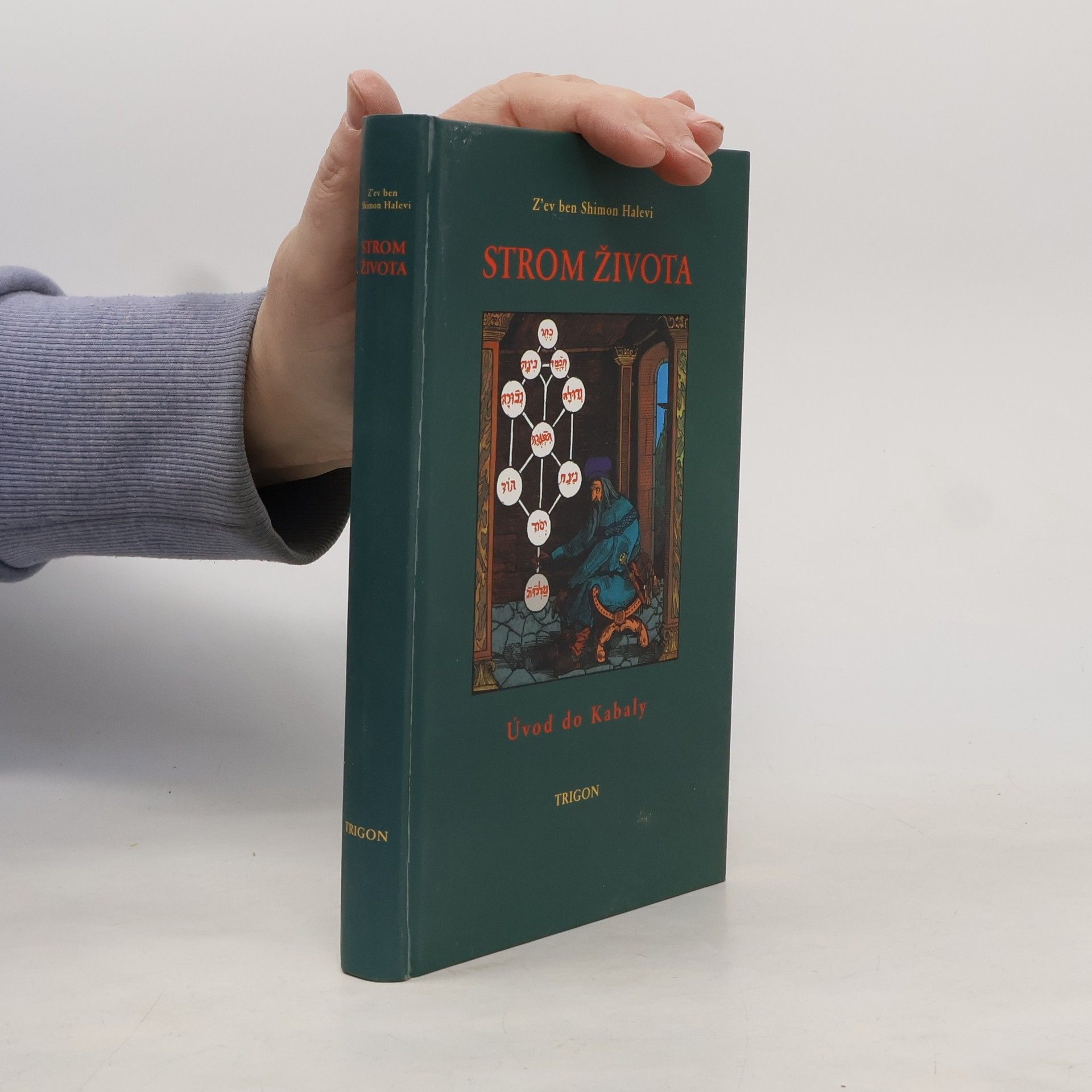 Peter Bugár Strom života : úvod do Kabaly