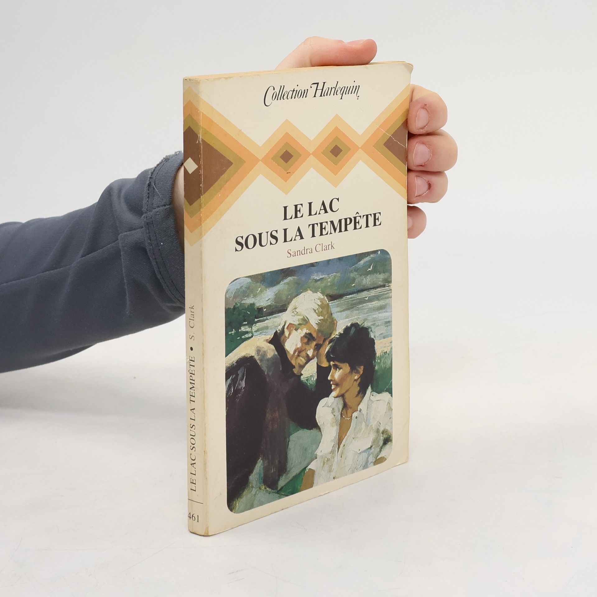 Sandra Clark Collection Harlequin - 461: Le lac sous la tempête