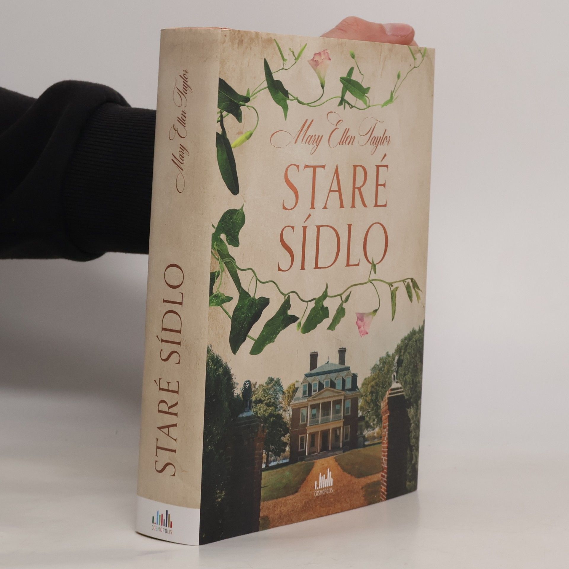 Mary Ellen Taylor Staré sídlo