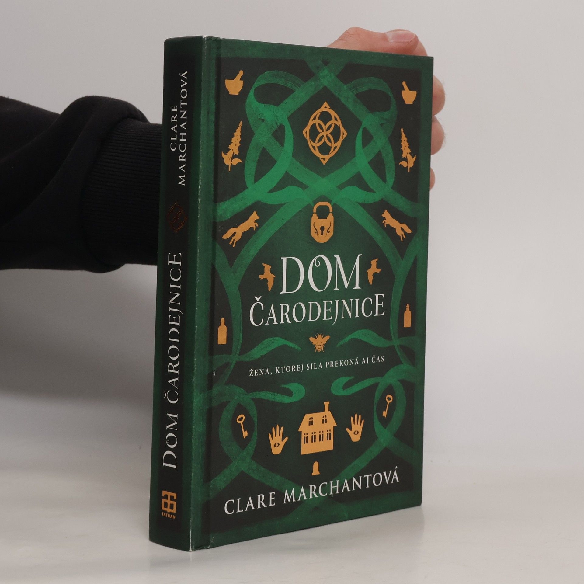 Clare Marchant Dom čarodejnice