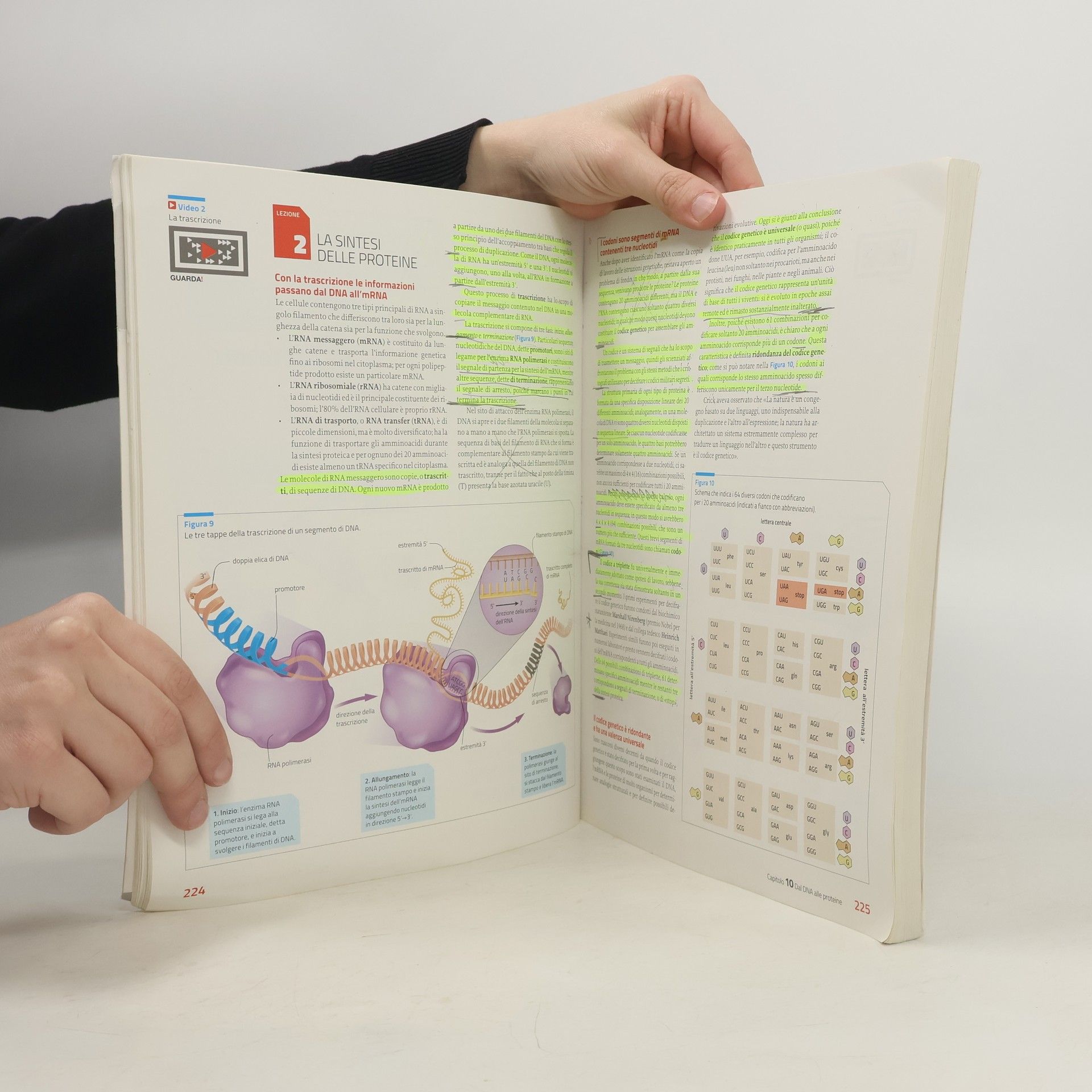 Kolektiv autorů Invito alla biologia.azzurro