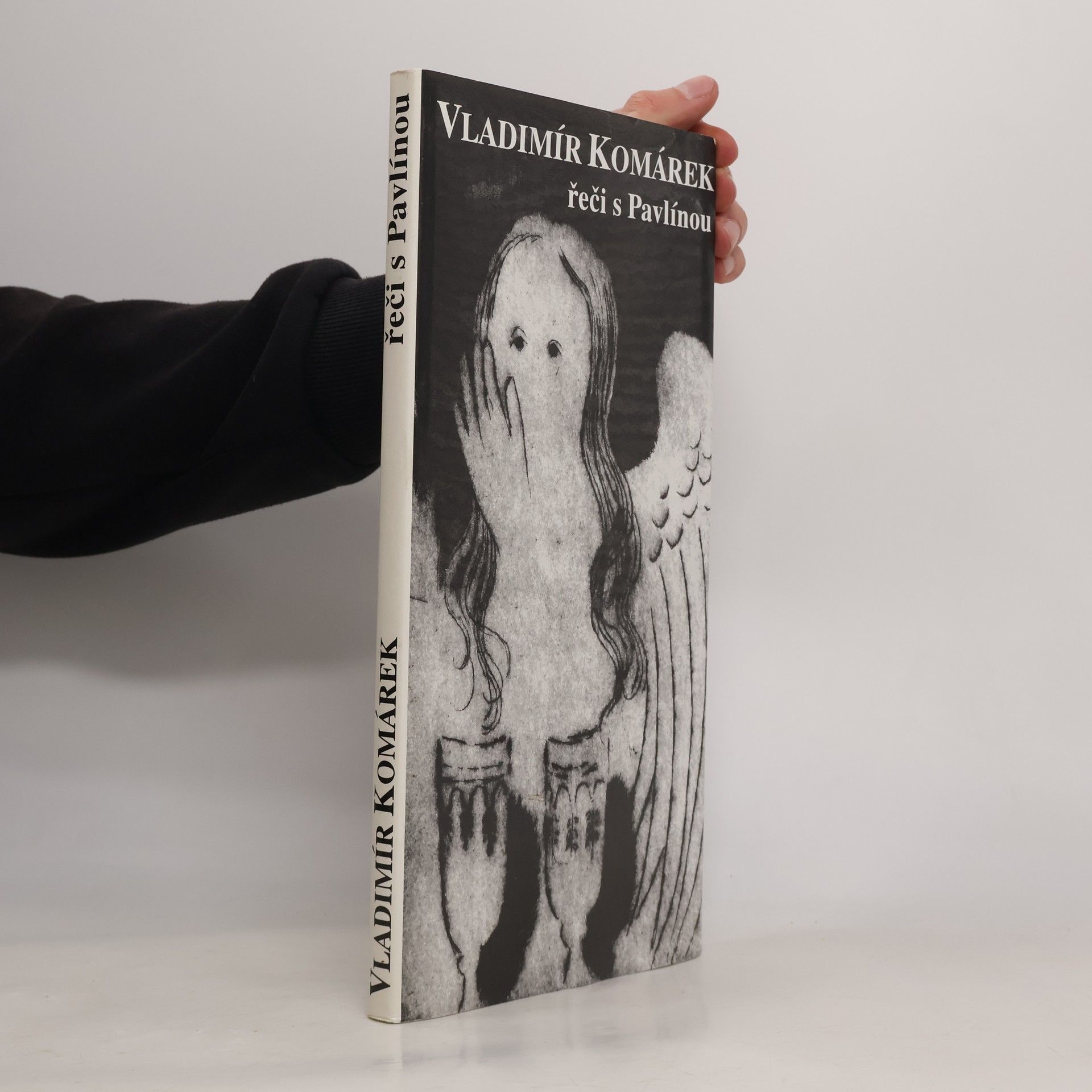 Pavla Petráková-Slancová Řeči s Pavlínou