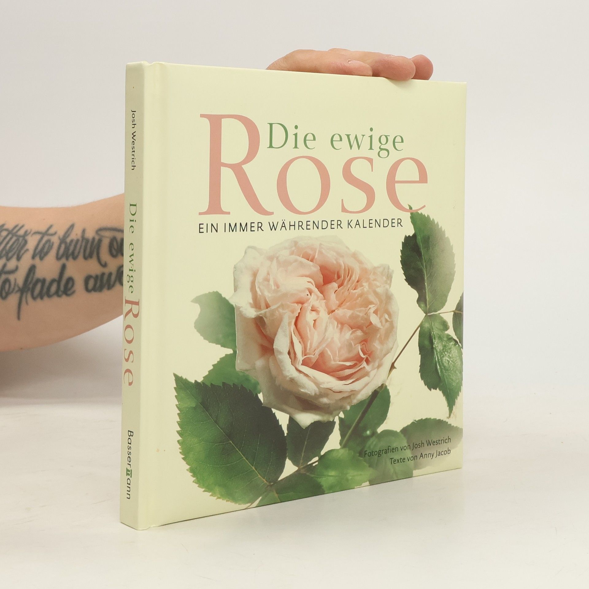 Anny Jacob Die ewige Rose