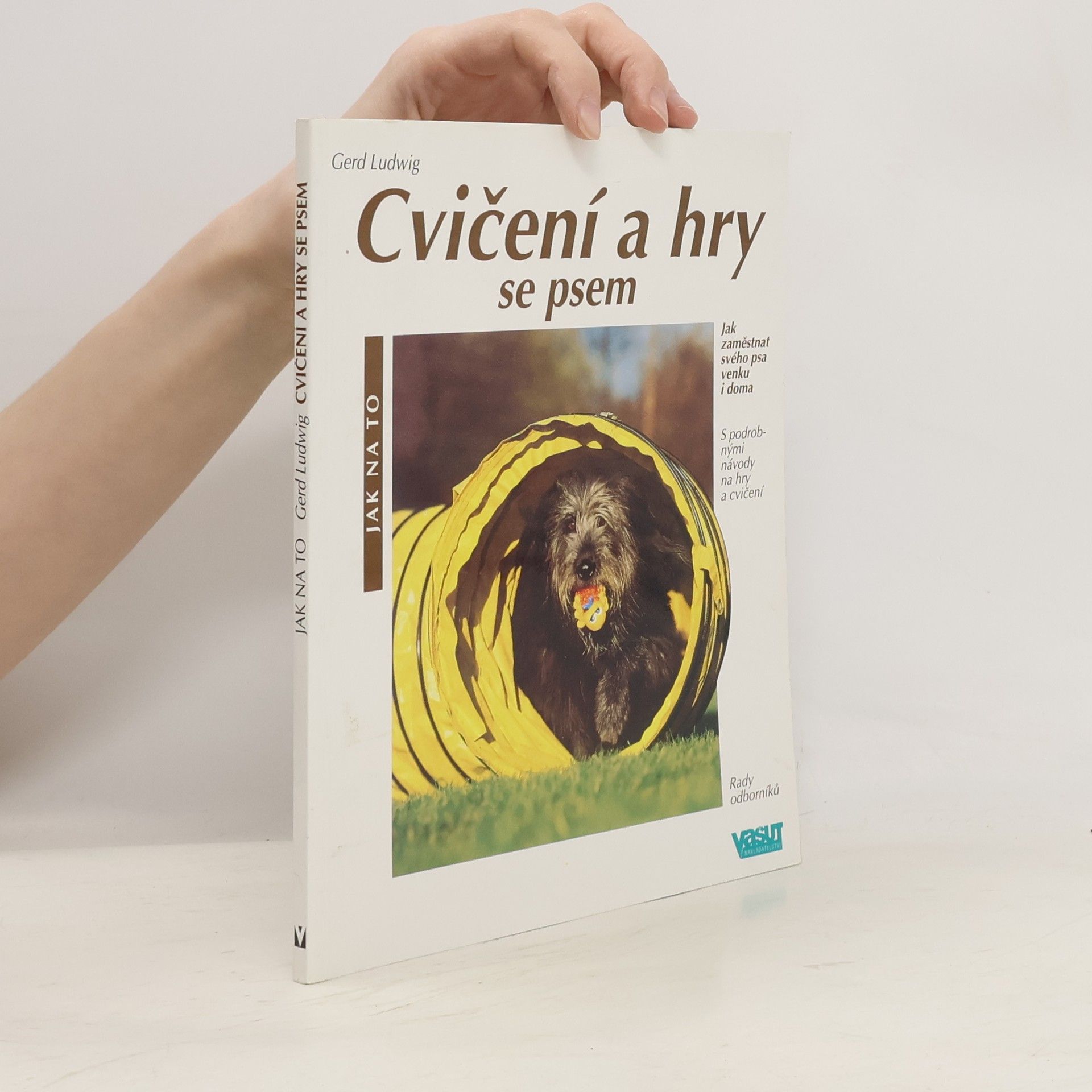 Cvičení a hry se psem: Rady odborníků, jak všestranně zaměstnat svého psa