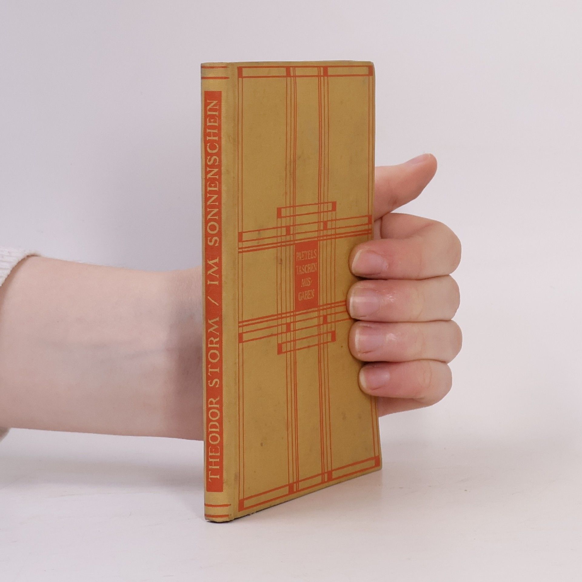 Theodor Storm Im Sonnenschein