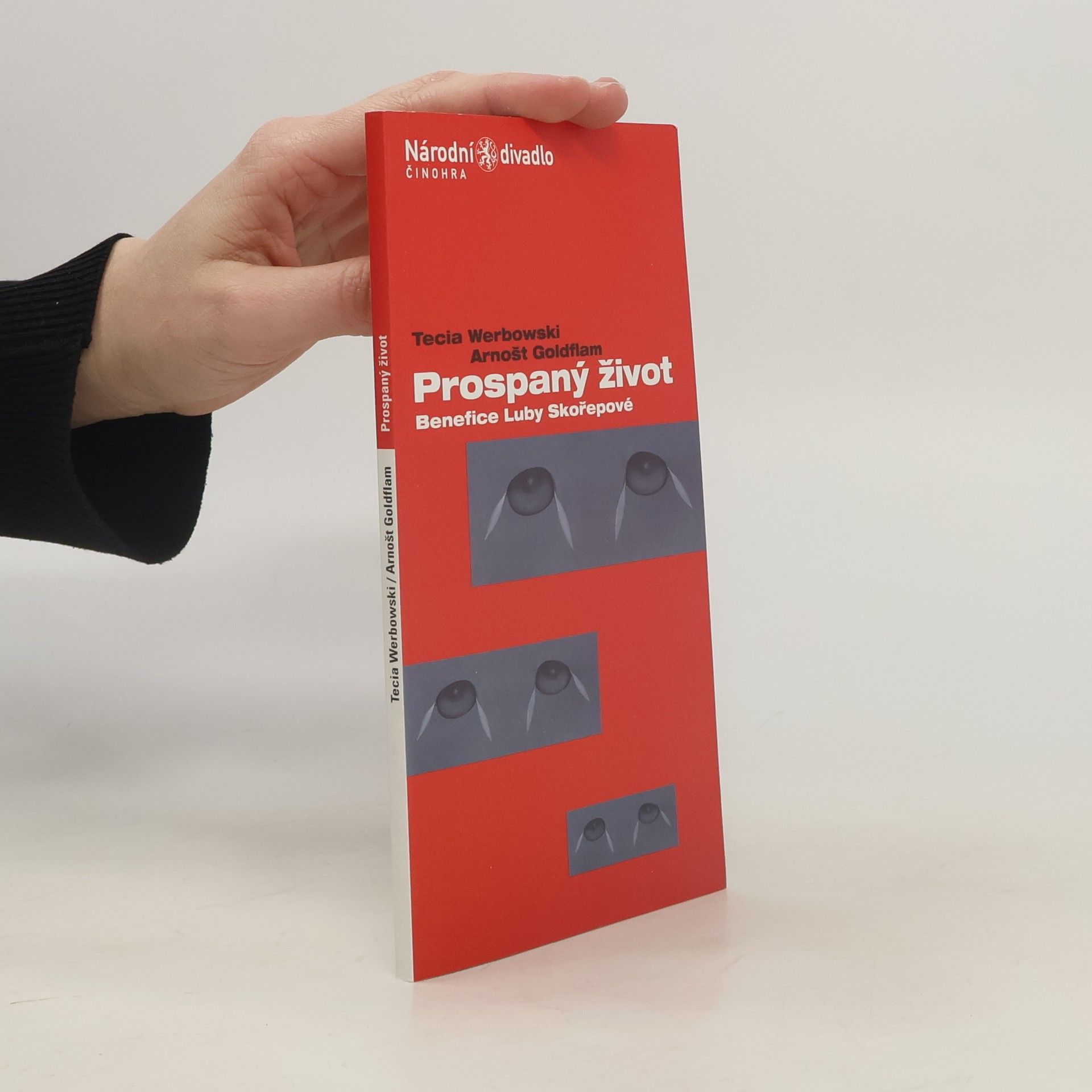 Marek Horoščák Prospaný život : benefice Luby Skořepové
