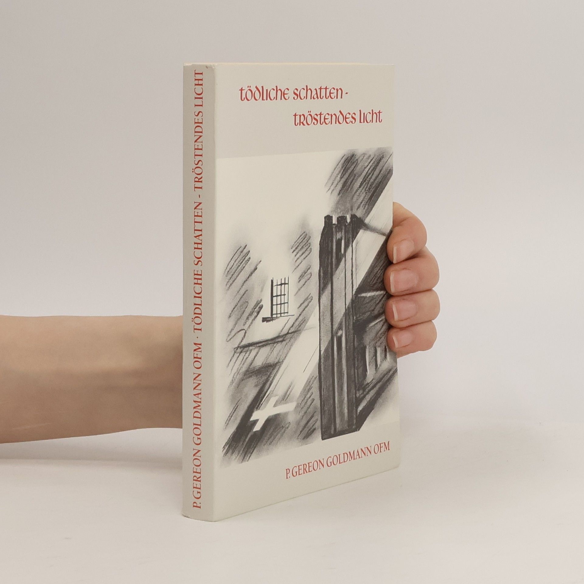 Gereon Goldmann Tödliche Schatten - tröstendes Licht