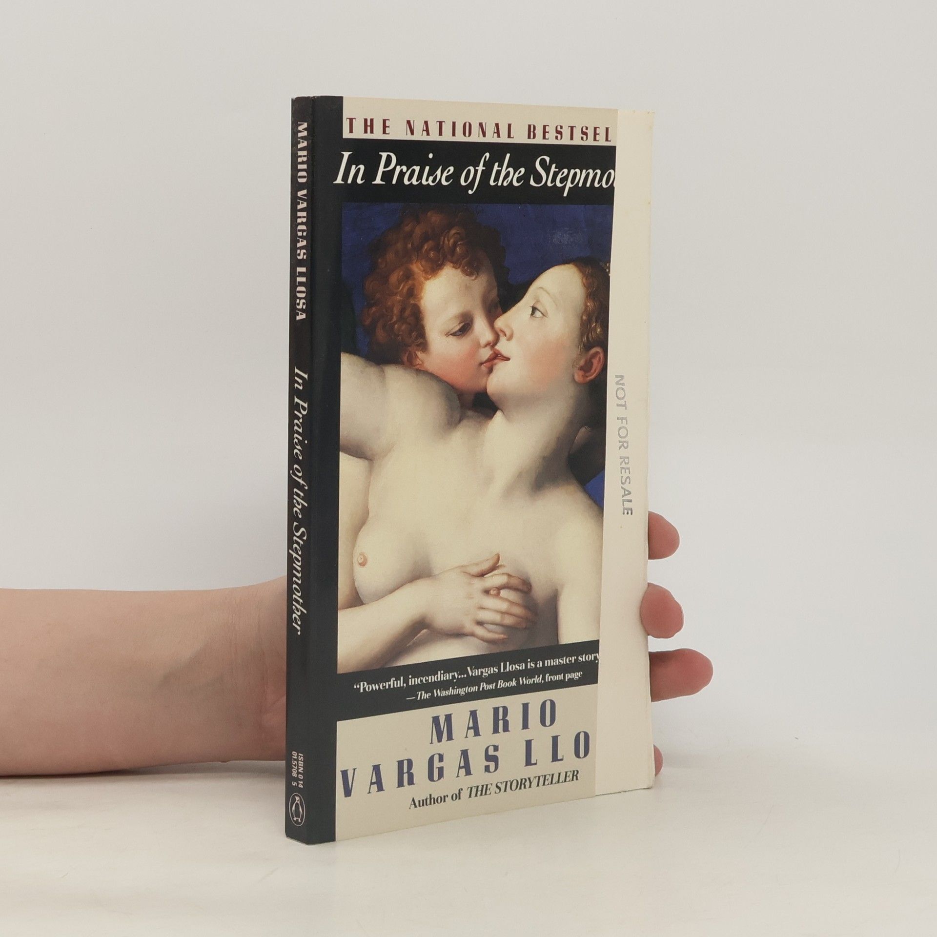 Mario Vargas Llosa In Praise of the Stepmother