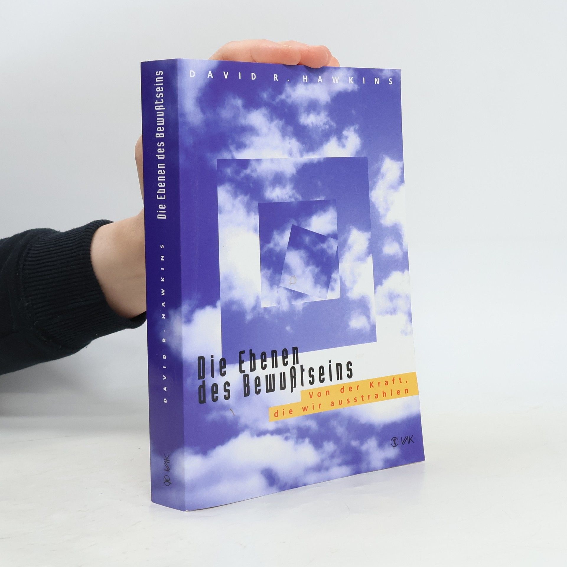 David R. Hawkins Die Ebenen des Bewußtseins