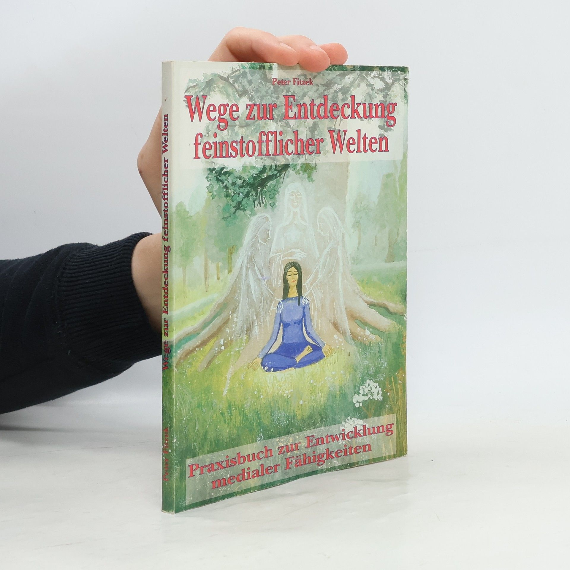 Peter Fitzek Wege zur Entdeckung feinstofflicher Welten