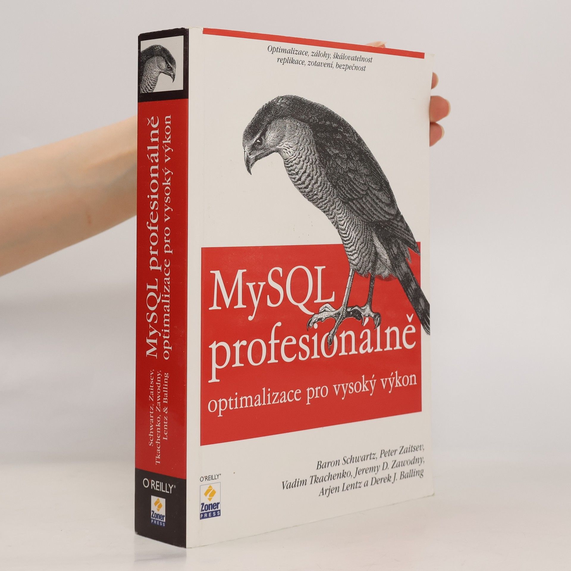 Autorenkollektiv MySQL profesionálně. Optimalizace pro vysoký výkon