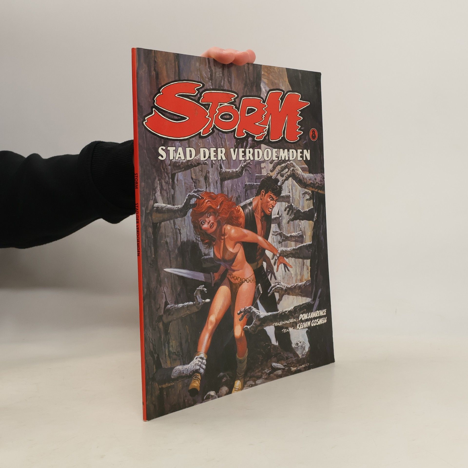 Don Lawrence Storm - 8: Stad der verdoemden