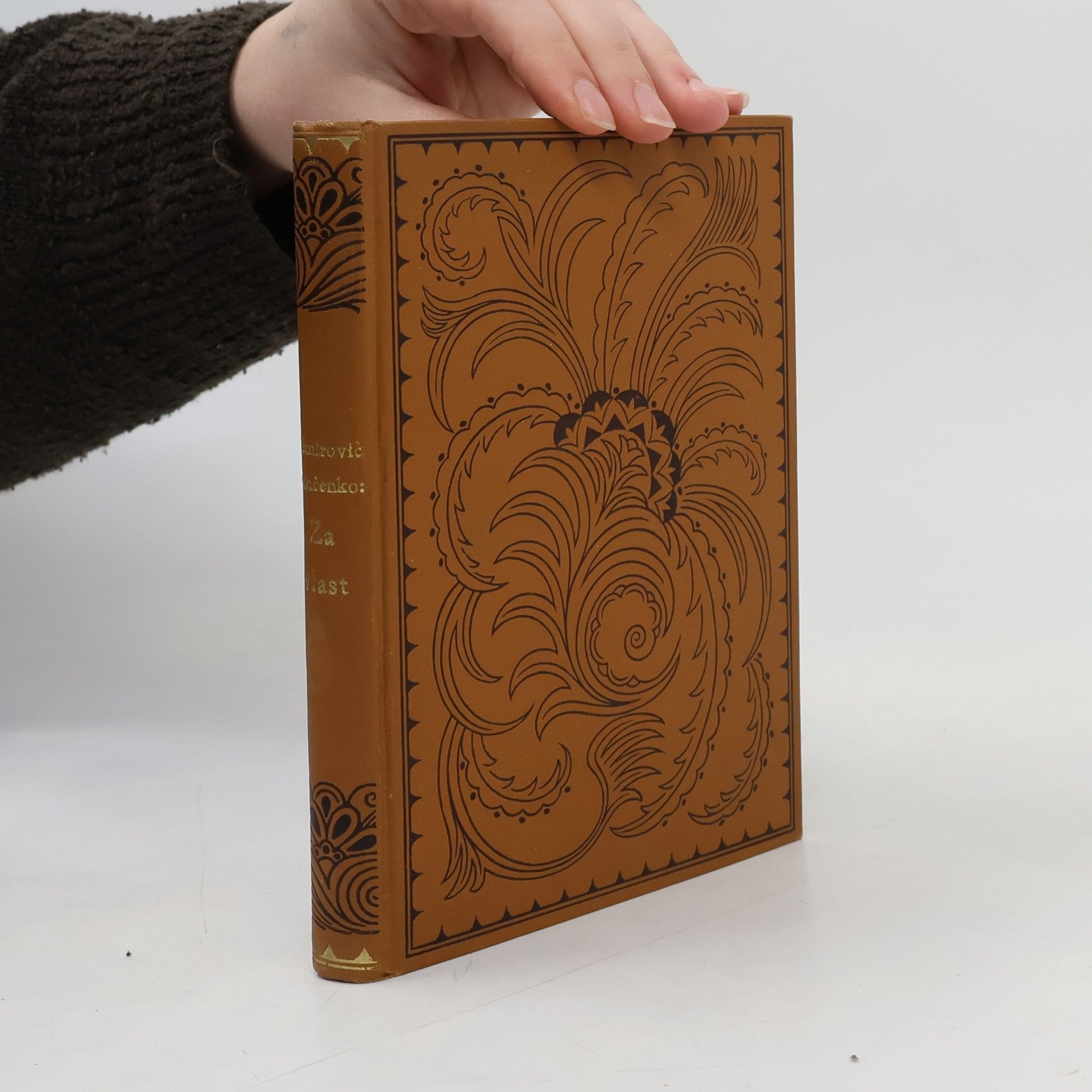 Vasilij Ivanovič Nemirovič Dančenko Za vlast