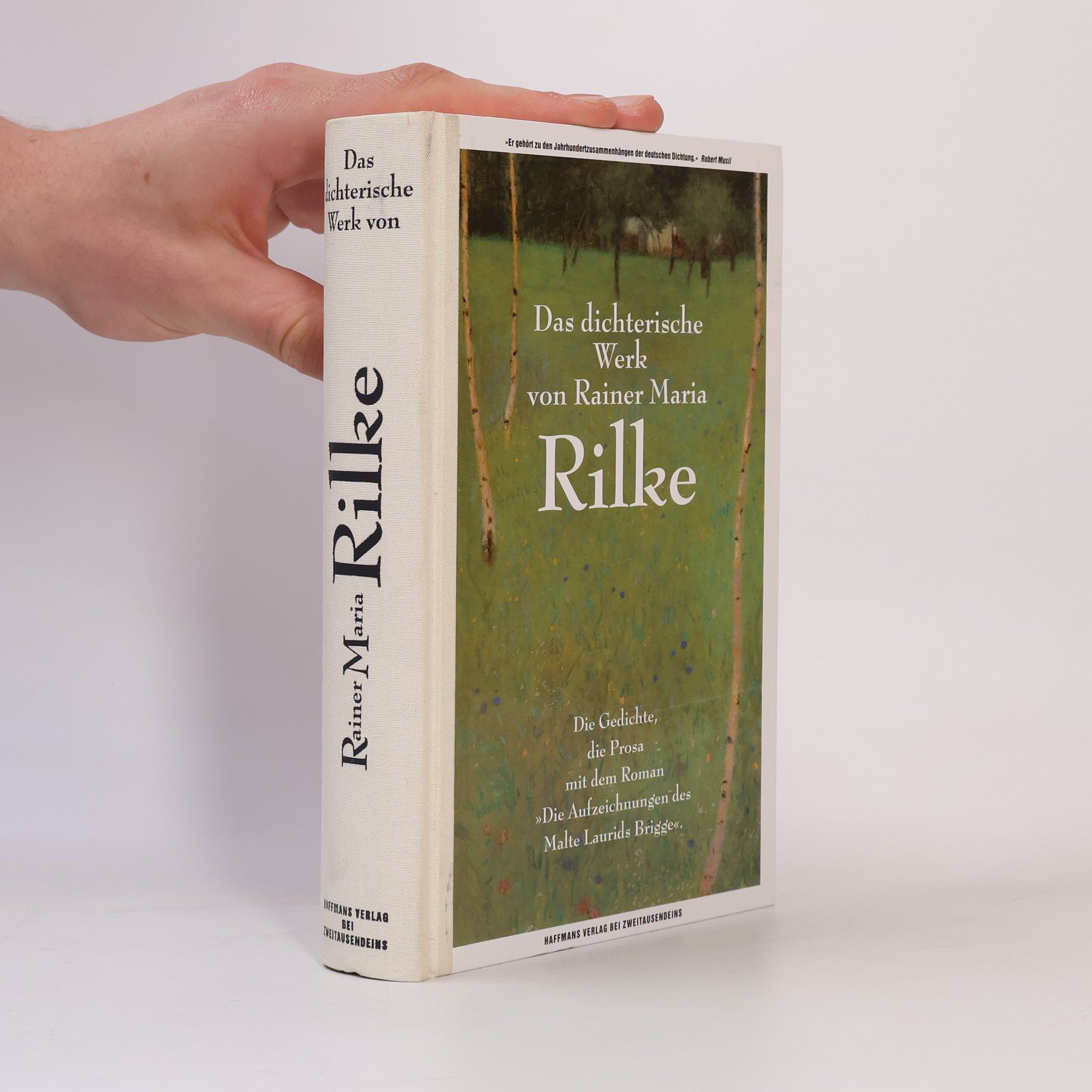 Rainer Maria Rilke Das dichterische Werk. Die Gedichte, die Prosa mit dem Roman "Die Aufzeichnungen des Malte Laurids Brigge"