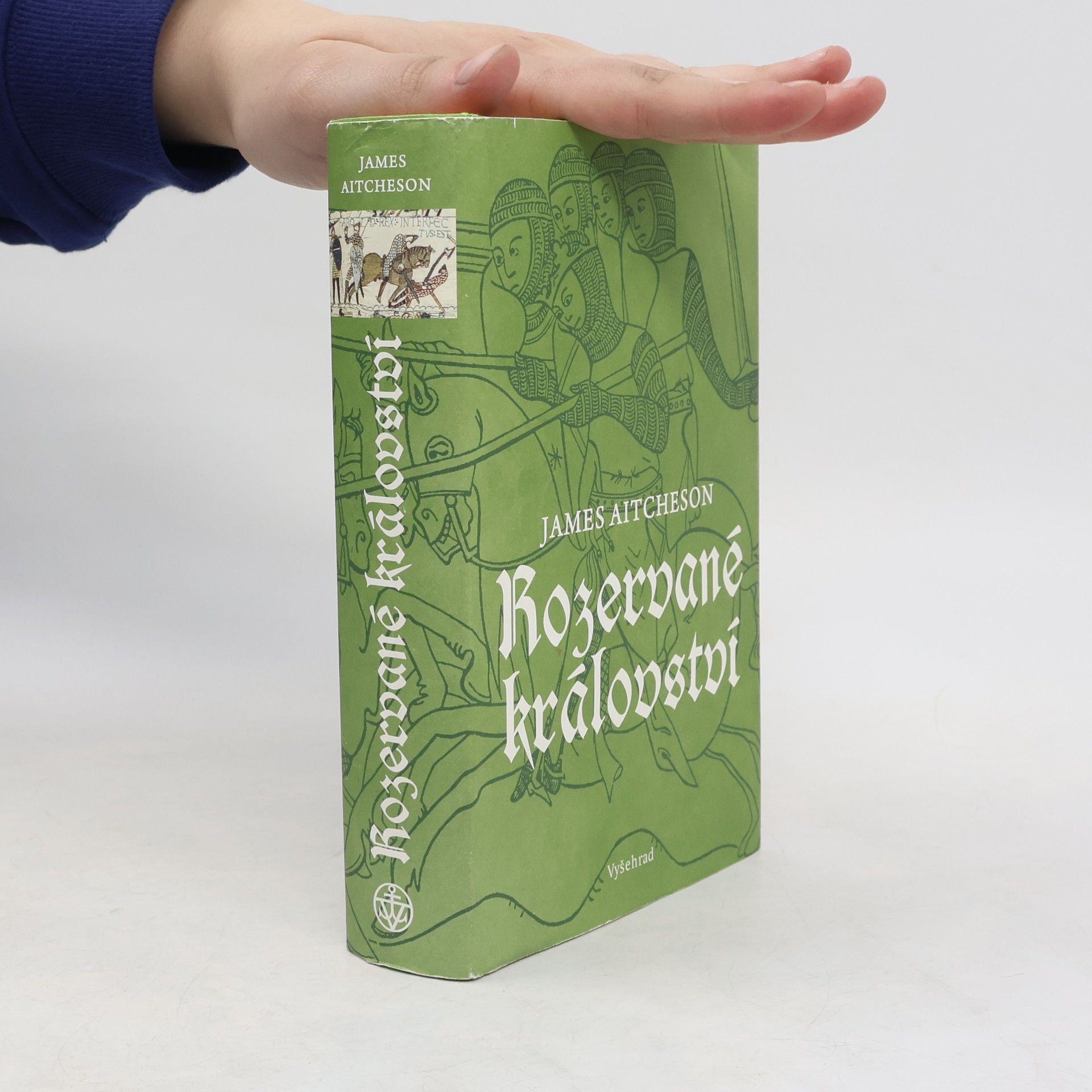 James Aitcheson Rozervané království