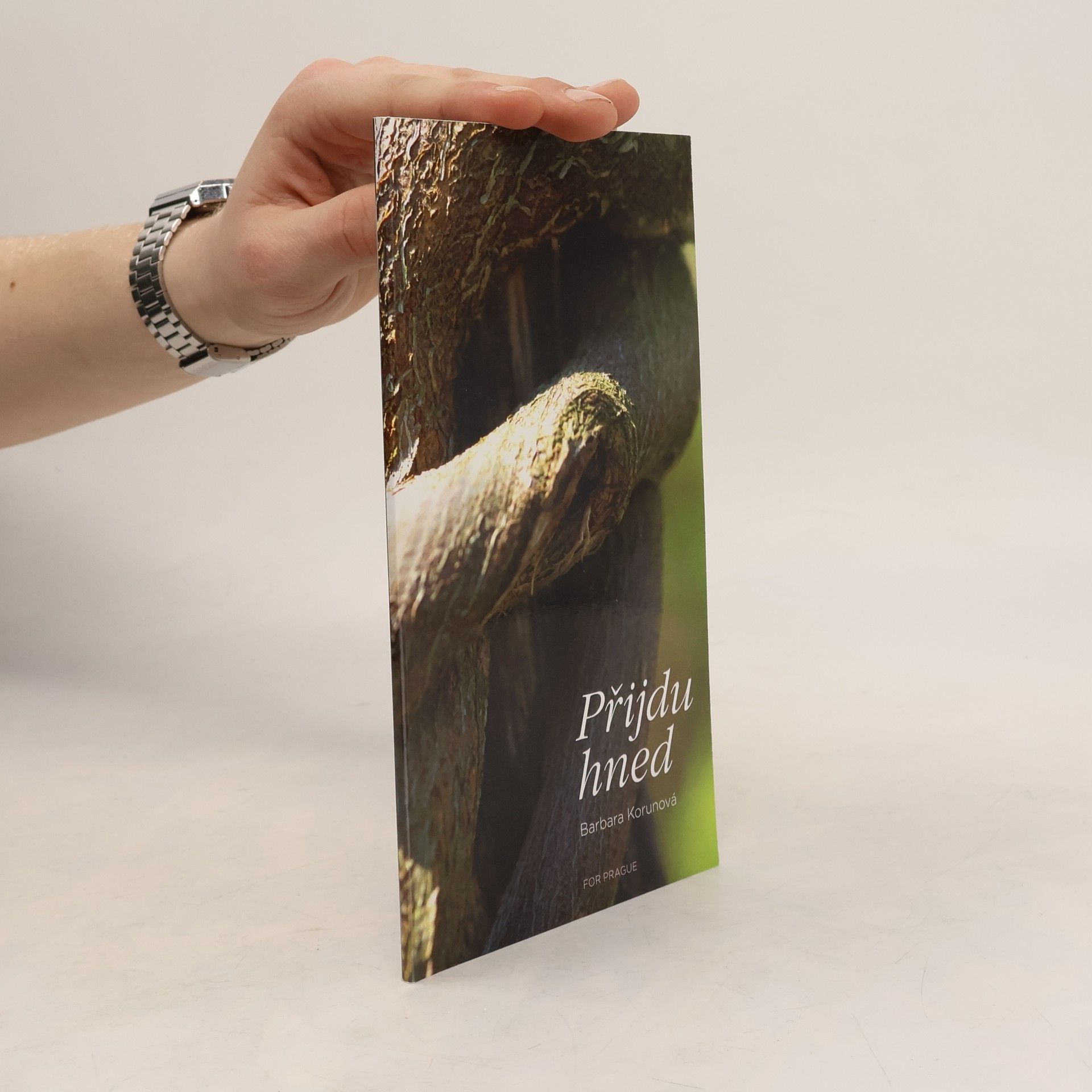 Barbara Korun Přijdu hned