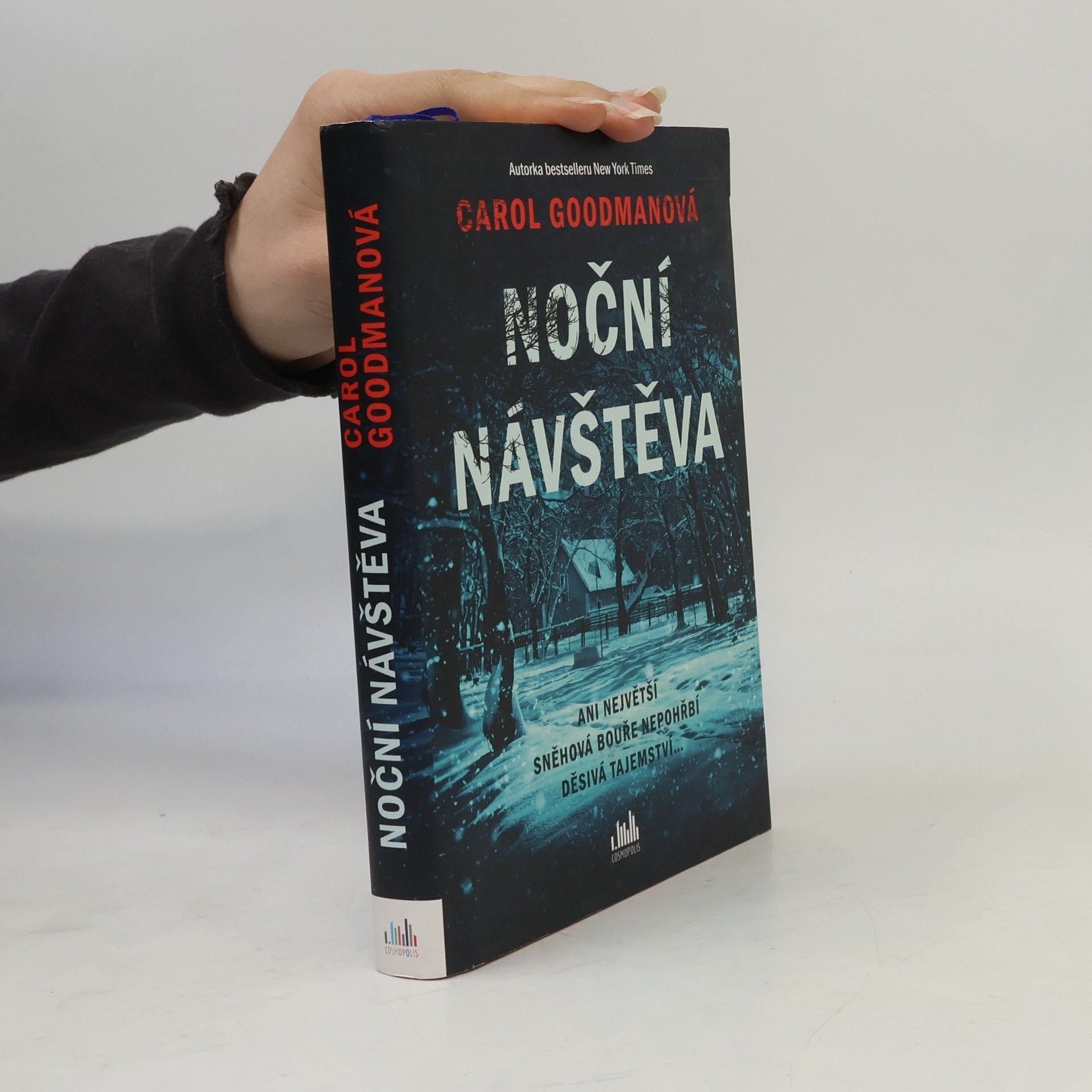 Lee Carroll Noční návštěva