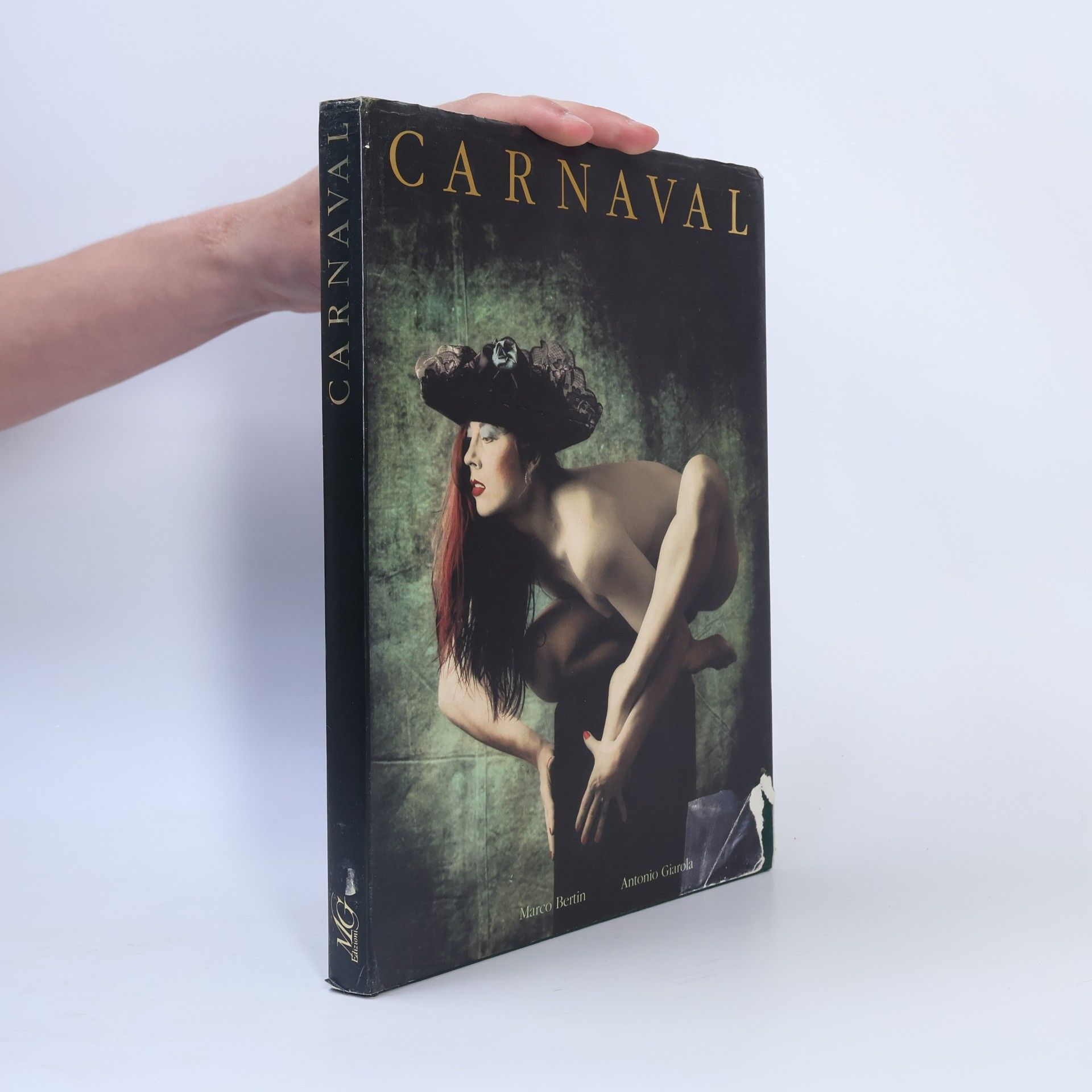 Marco Bertin Carnaval