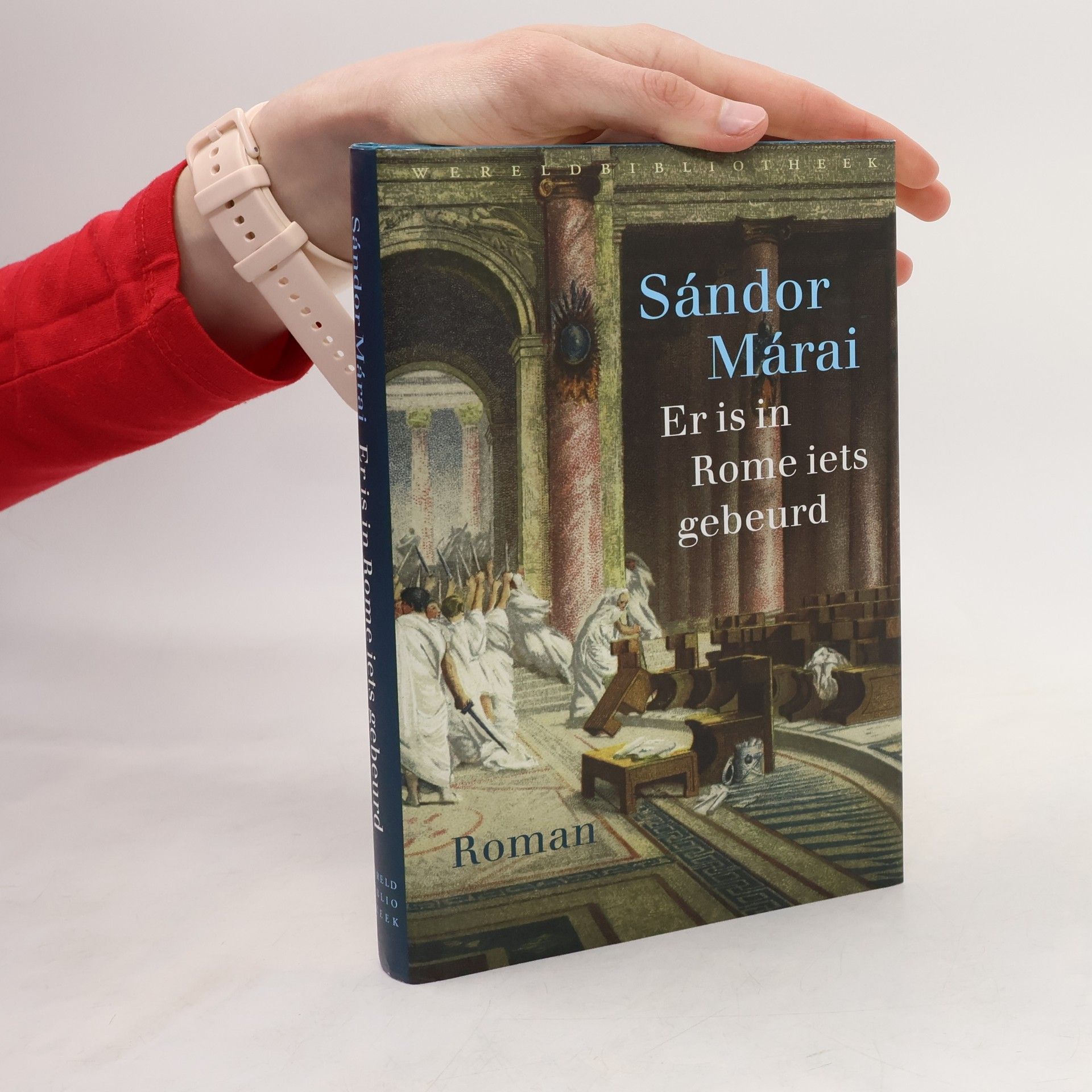 Rogier van der Wal Er is in Rome iets gebeurd - druk 1