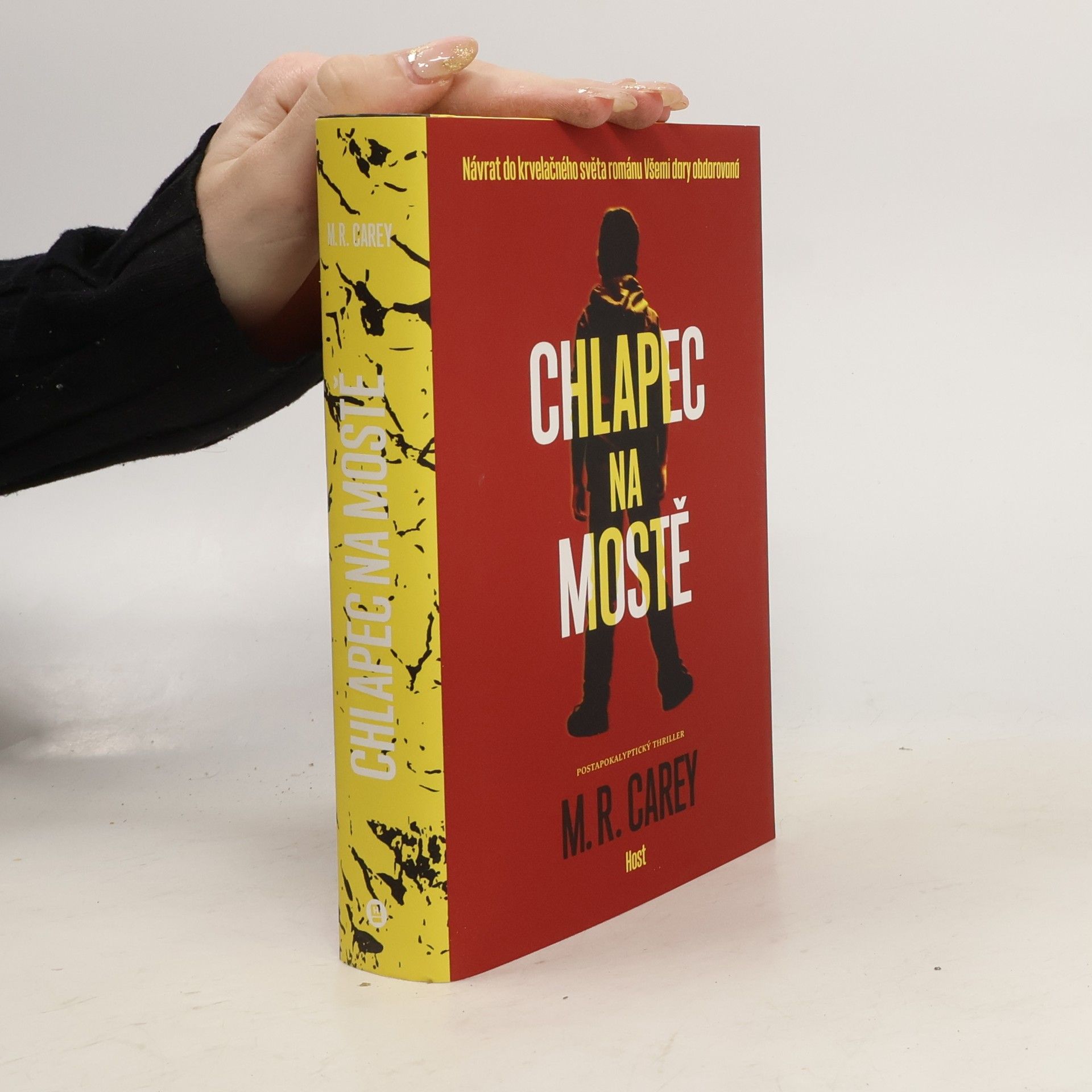 M. R. Carey Chlapec na mostě