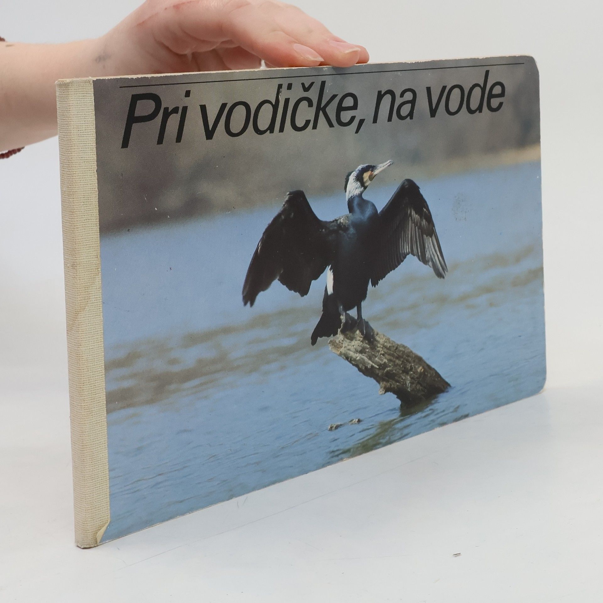 Autorenkollektiv Pri vodičke, na vode