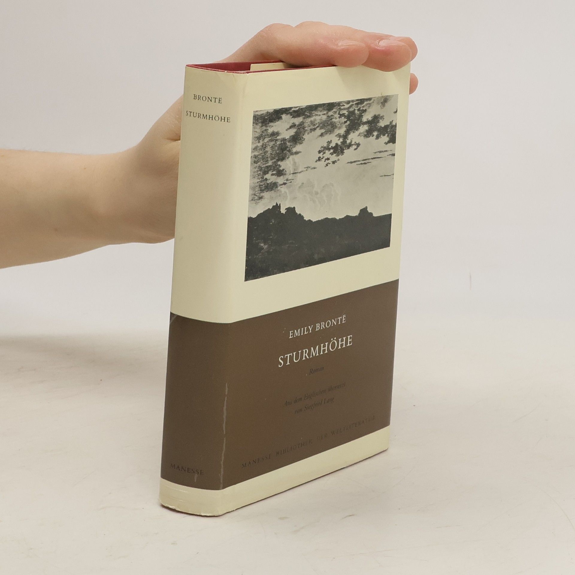 Emily Brontë Sturmhöhe