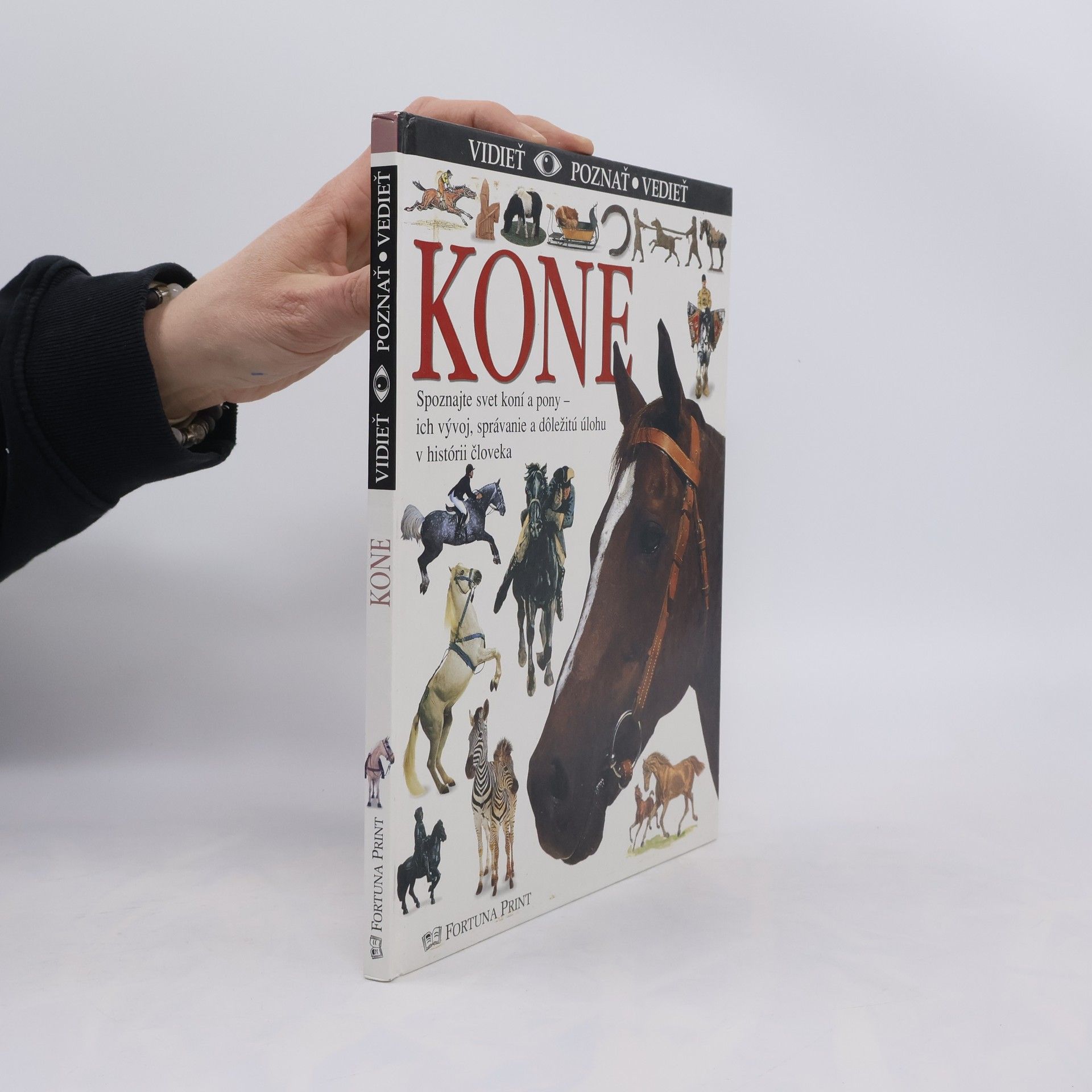 Kolektiv autorů Kone