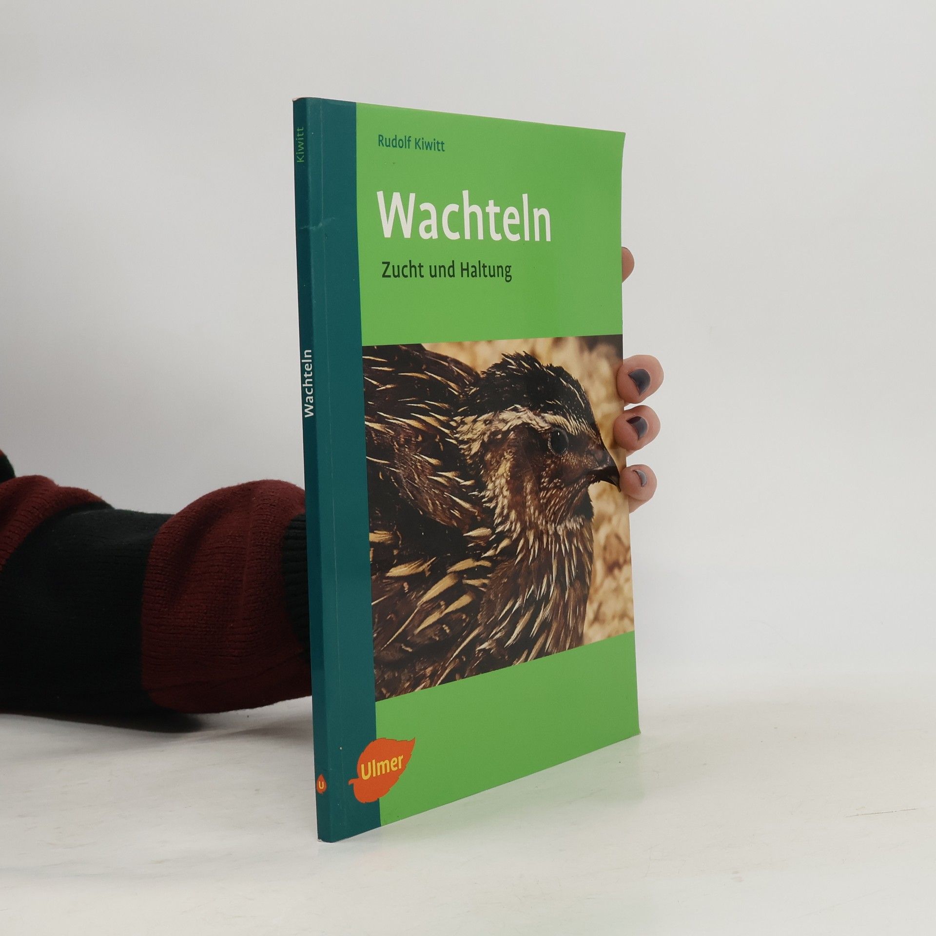 Rudolf Kiwitt Wachteln
