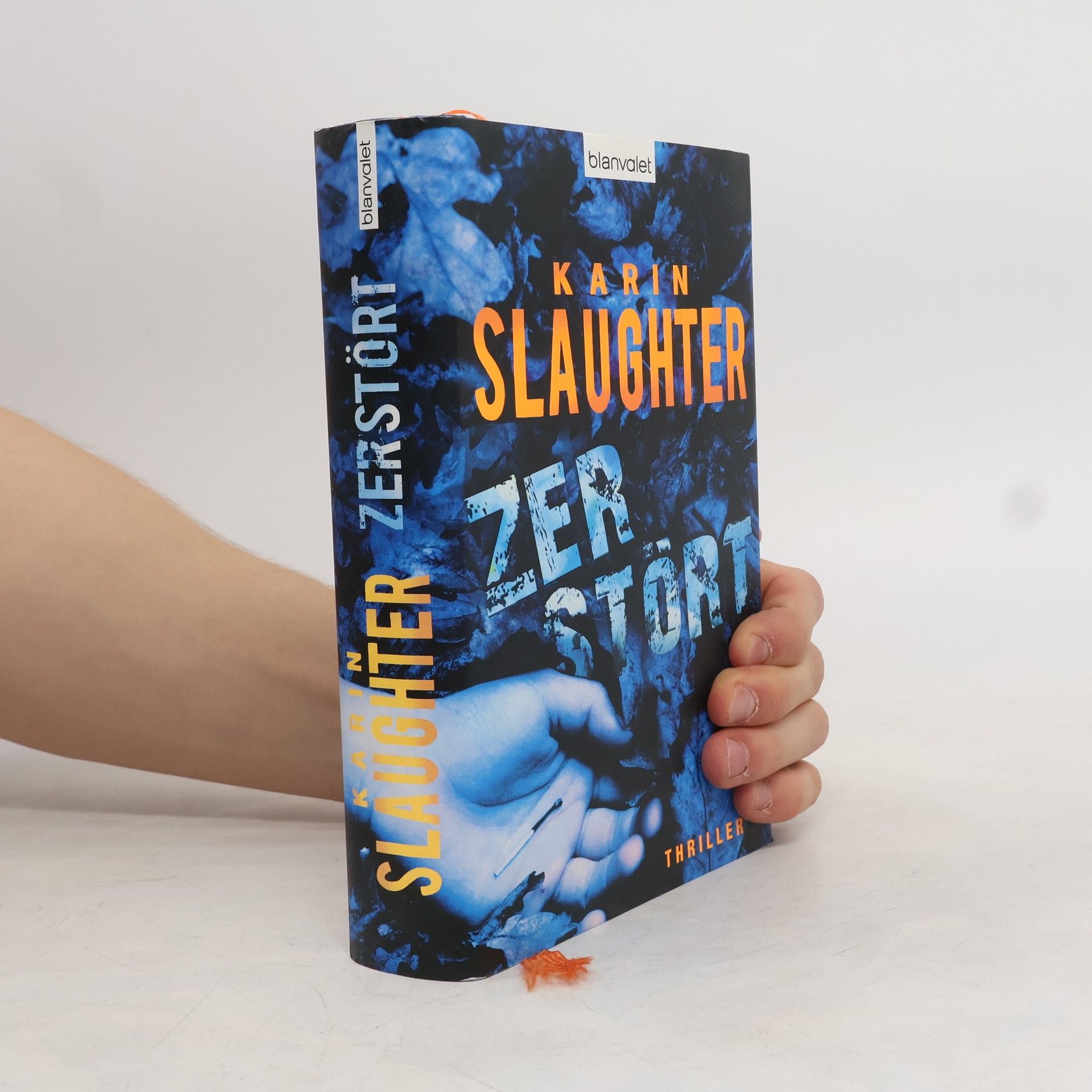 Karin Slaughter Zerstört