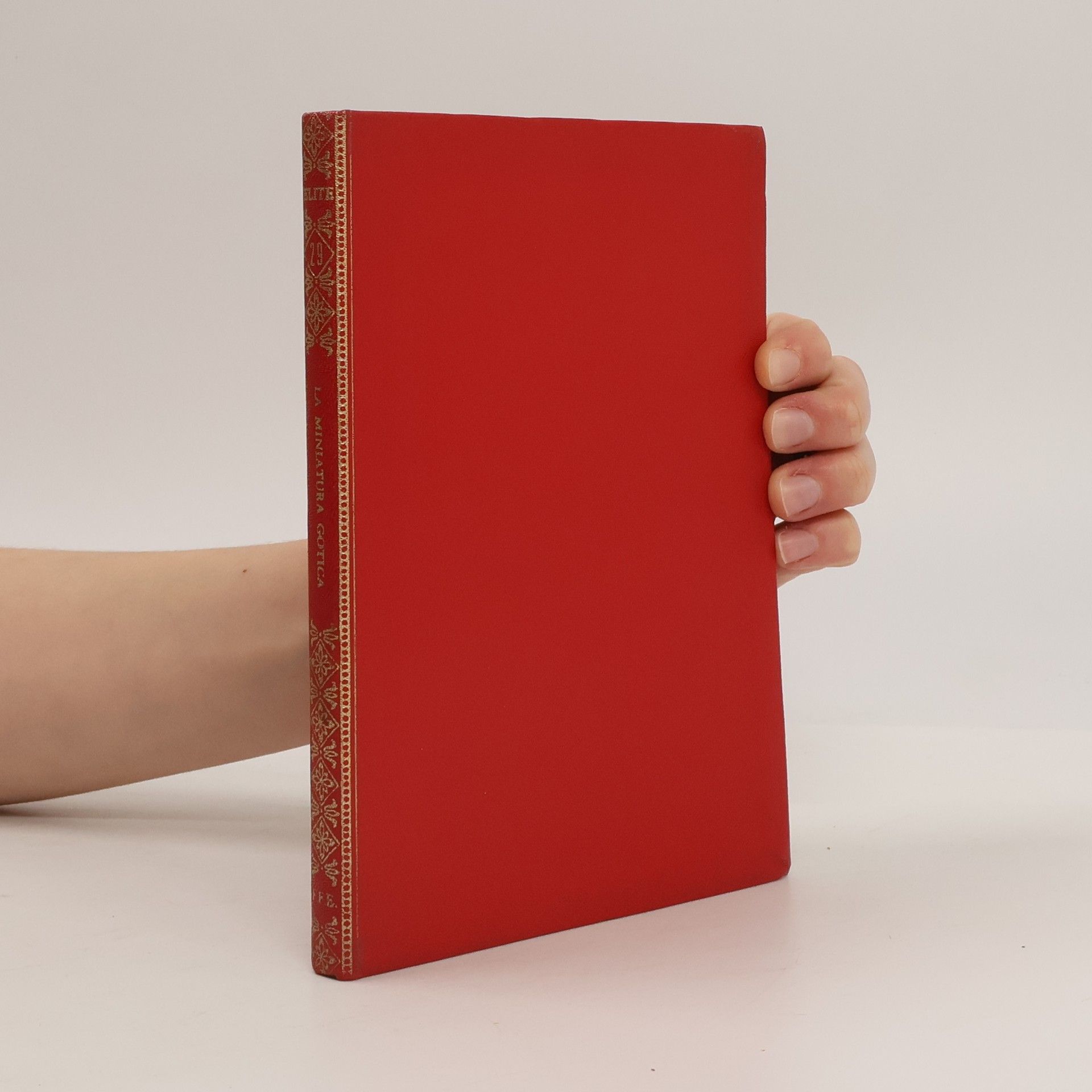 Emma Pirani La miniatura gotica