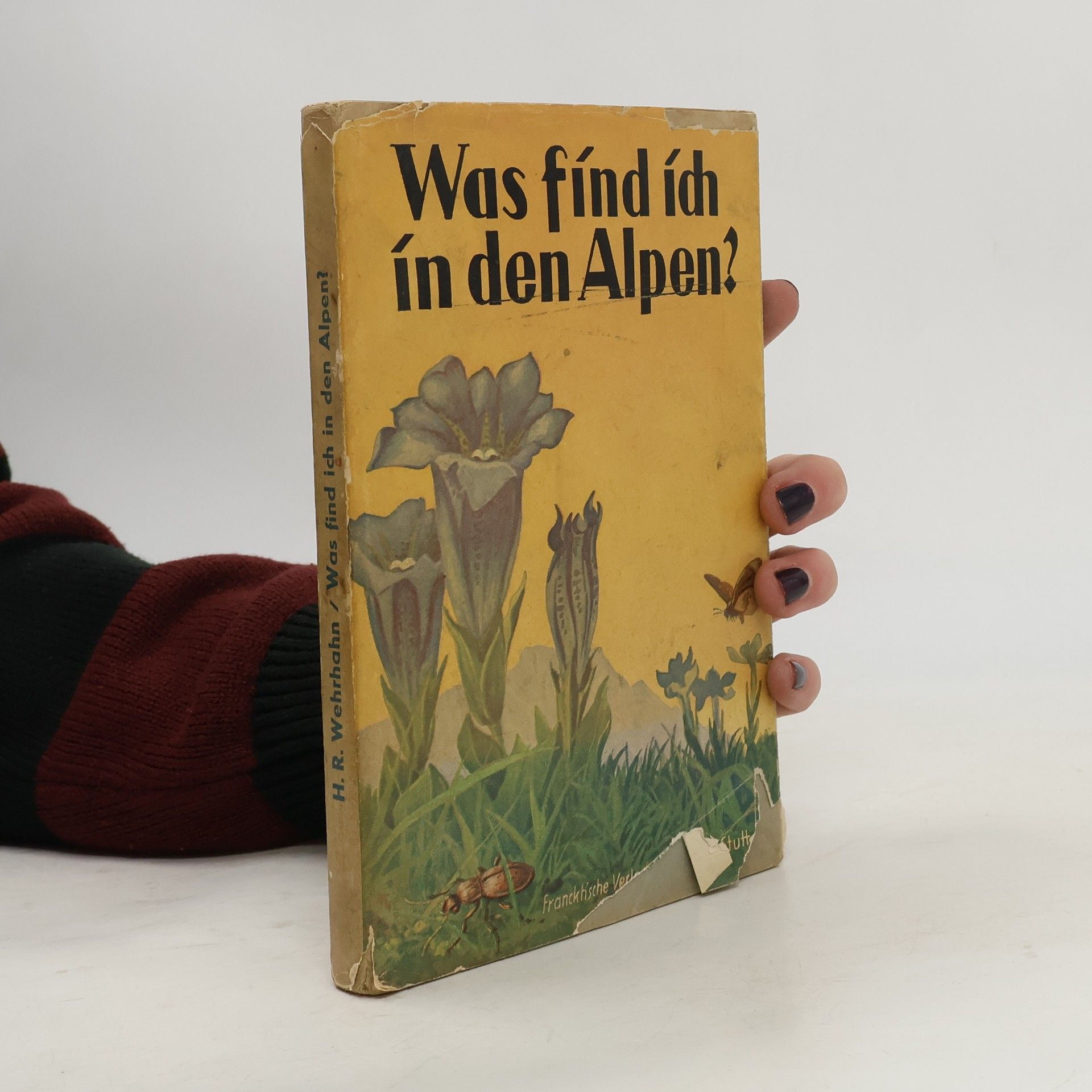 Autorenkollektiv Was find ich in den Alpen?