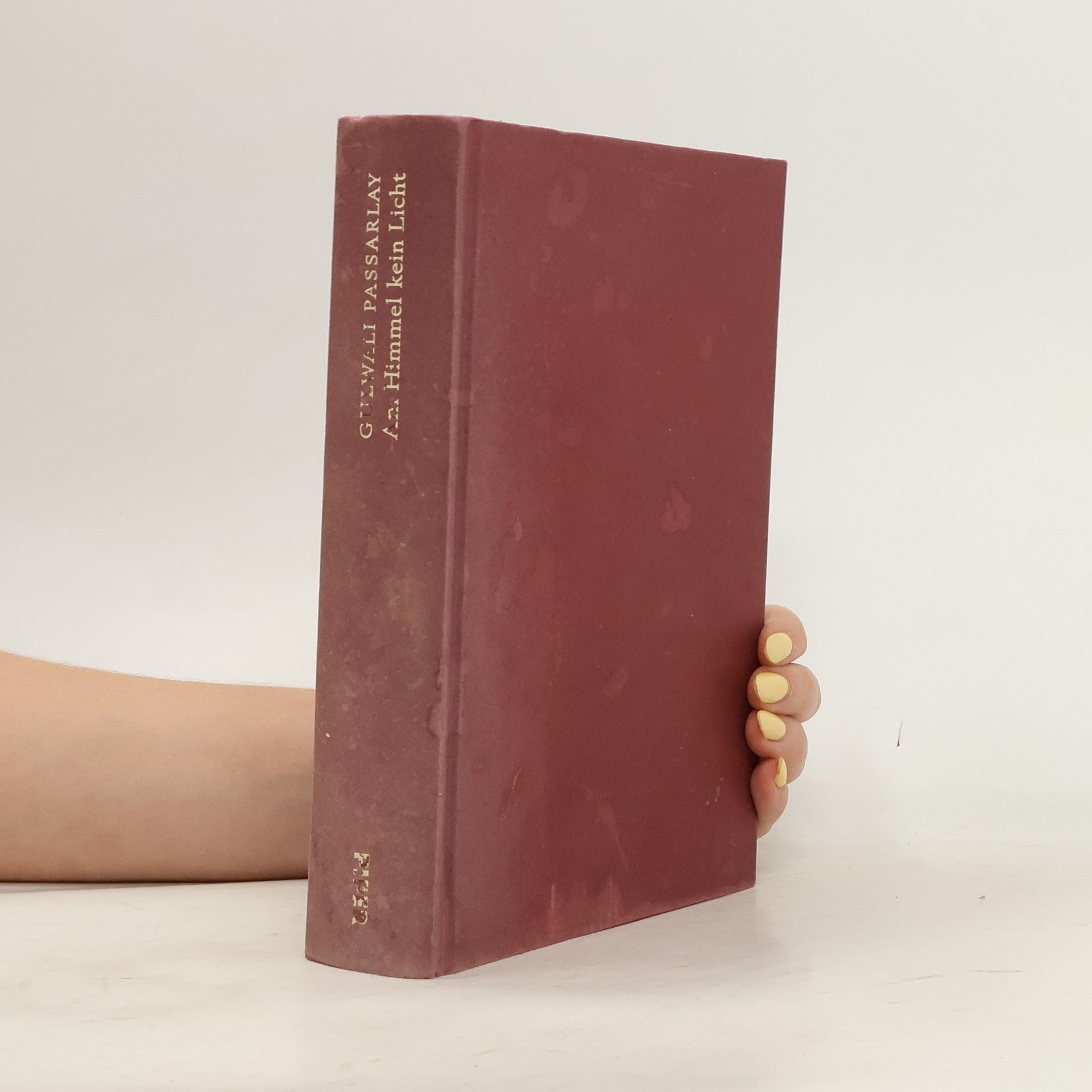 Gulwali Passarlay Am Himmel kein Licht