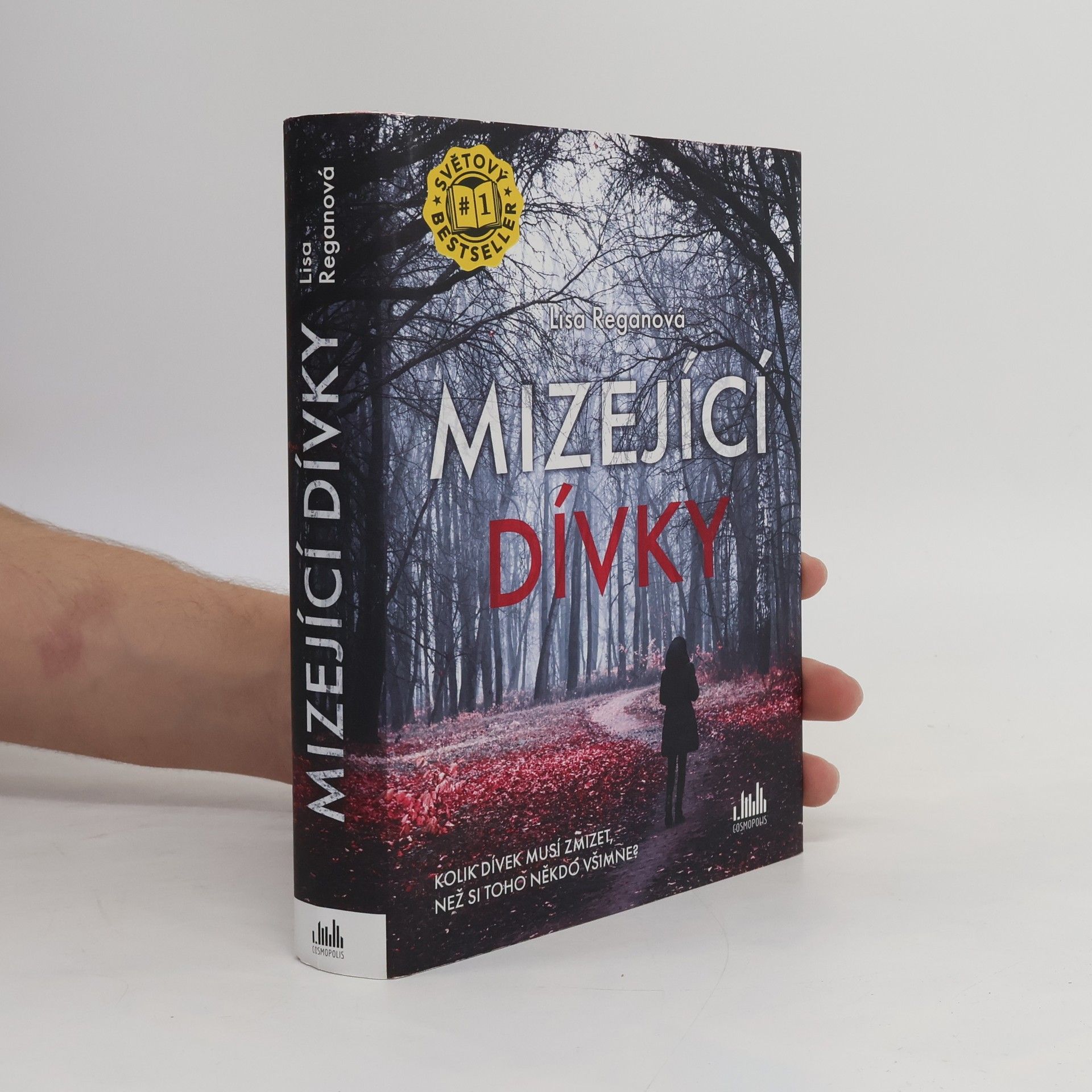 Lisa Regan Mizející dívky