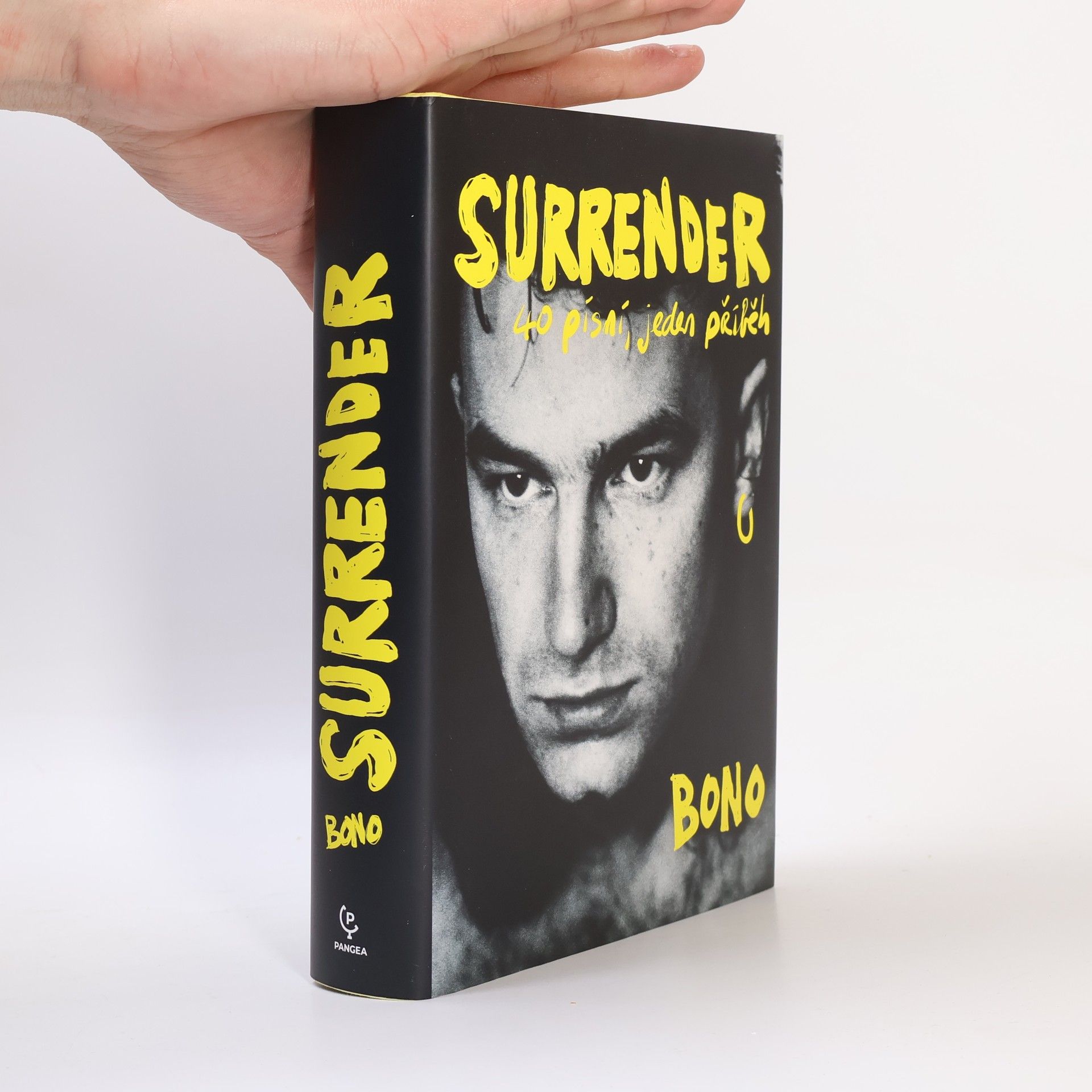 Bono Surrender : 40 písní, jeden příběh