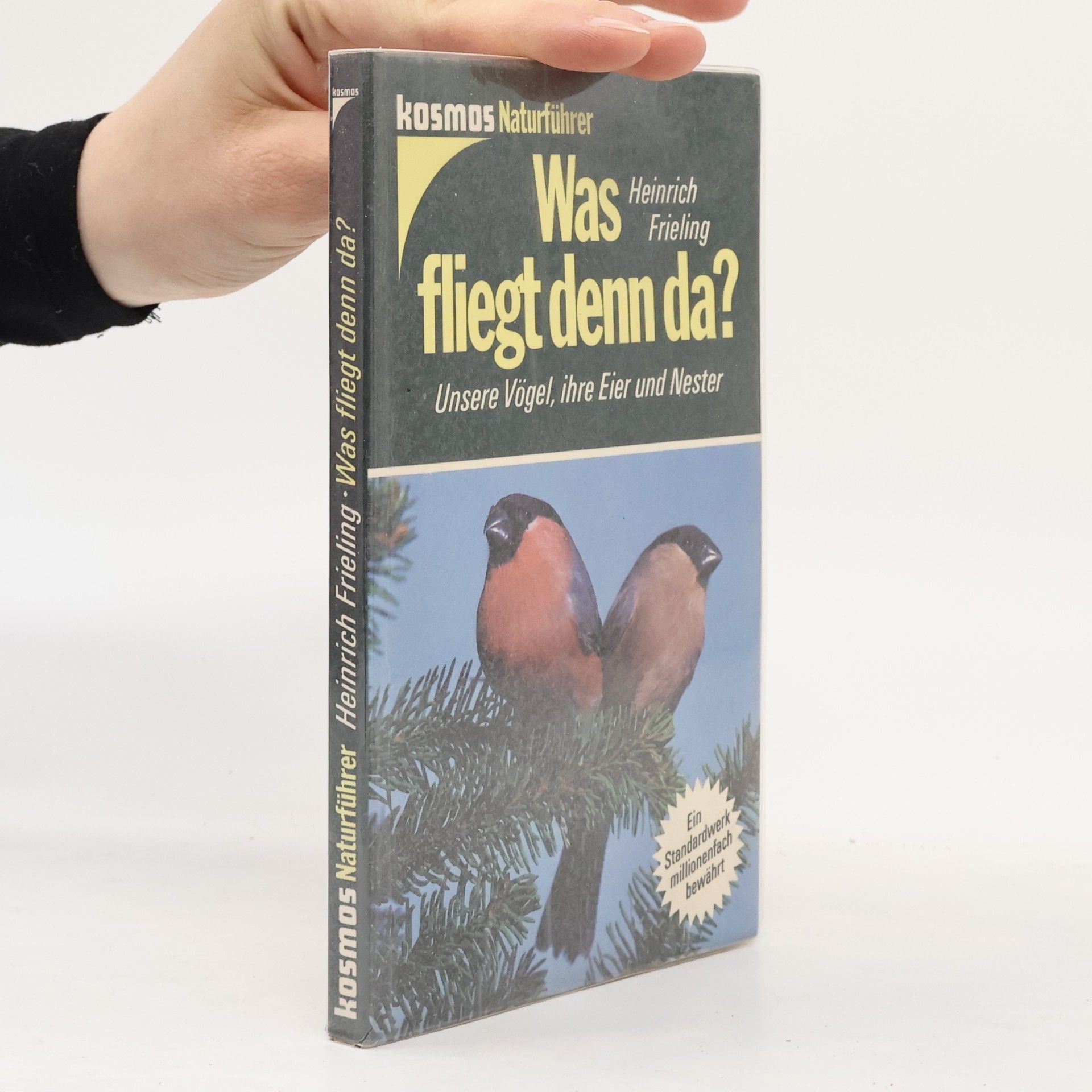 Heinrich Frieling Was fliegt denn da?