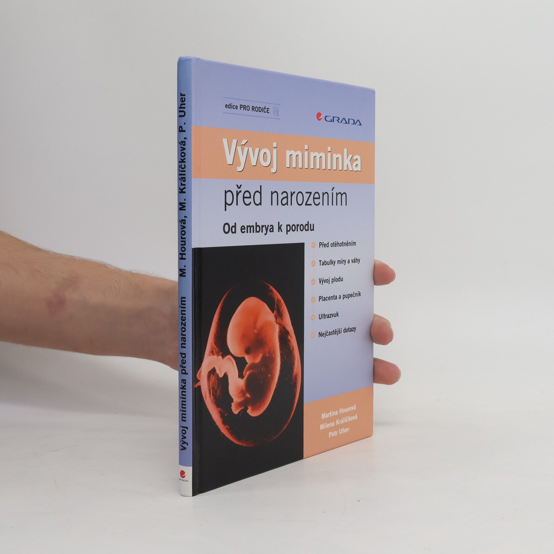 Vývoj miminka před narozením