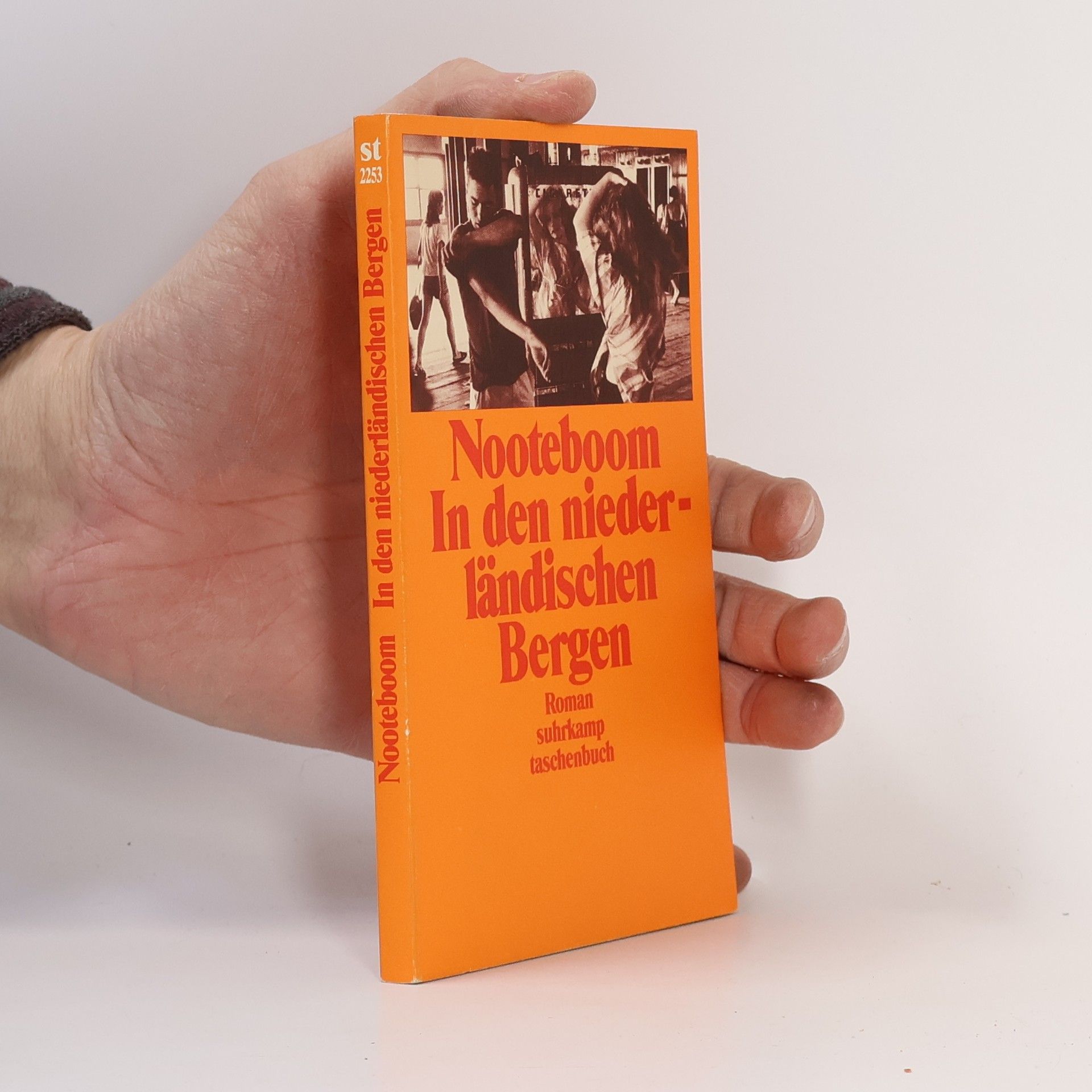 Cees Nooteboom In den niederländischen Bergen