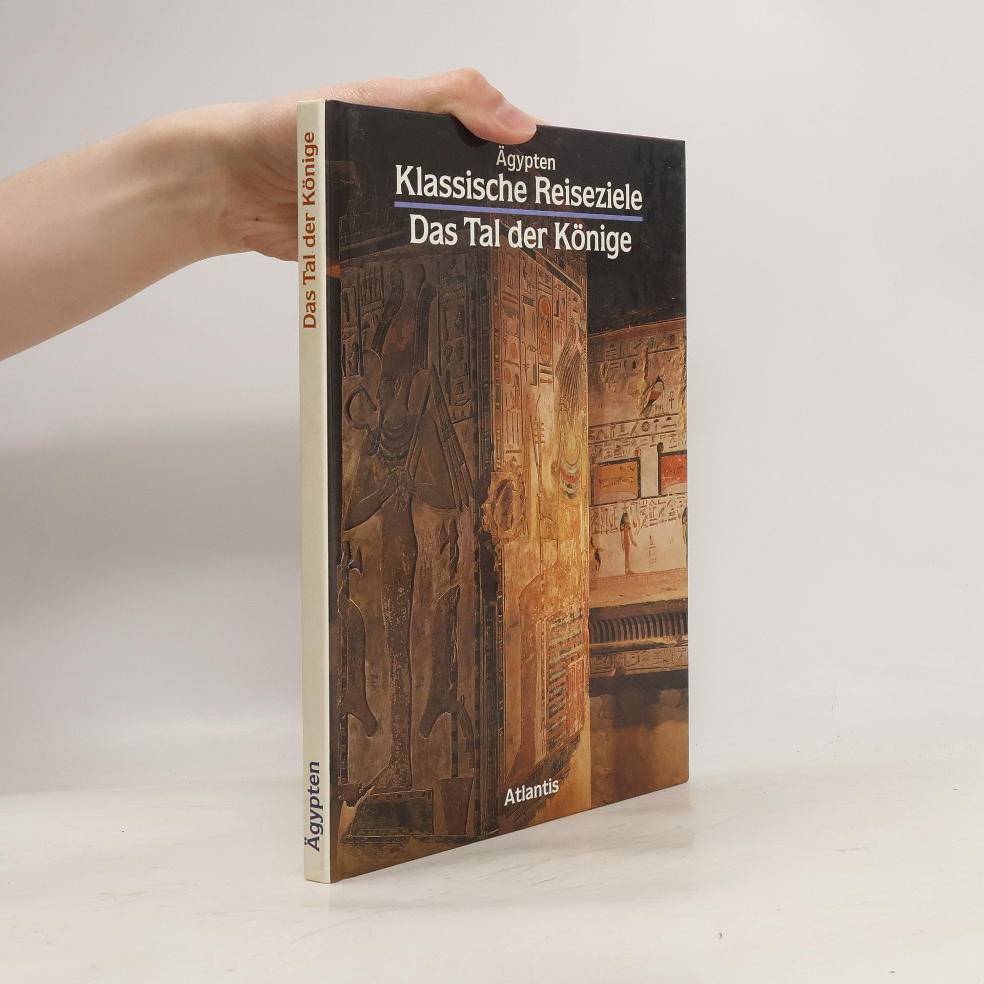 Anna Maria Donadoni Roveri Das Tal der Könige