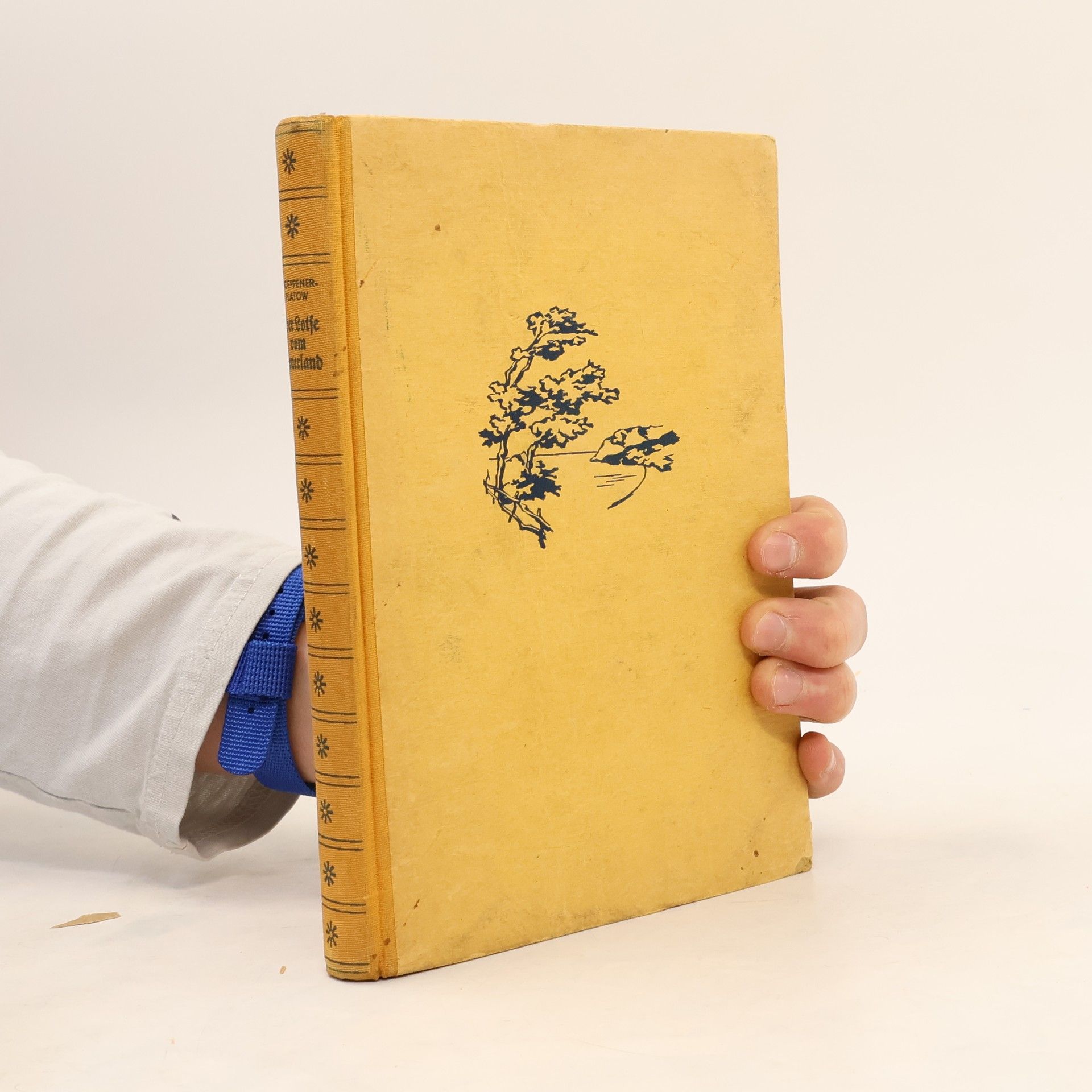 Wilhelm Hoeppener Der Lotse vom Feuerland