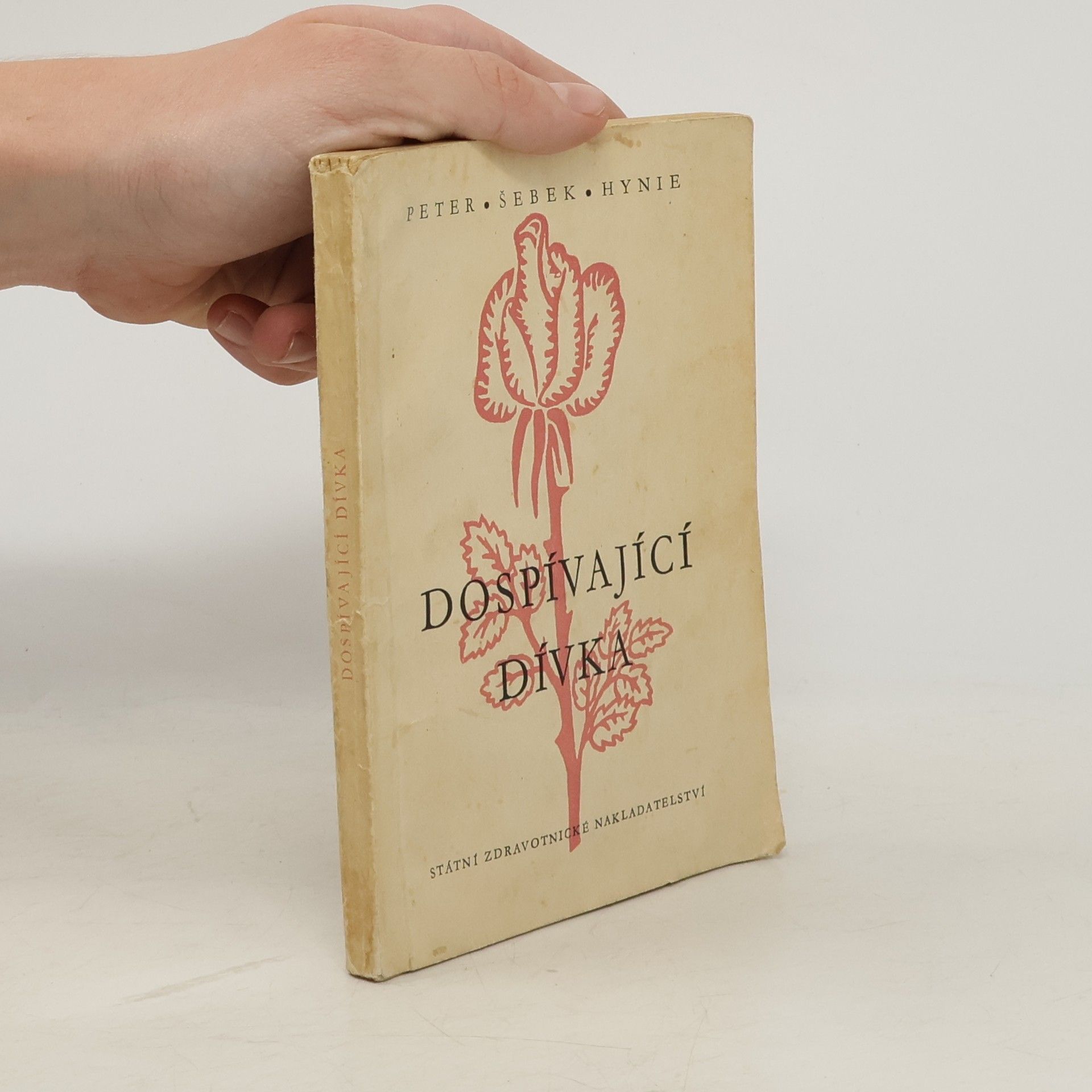 Josef Hynie Dospívající dívka