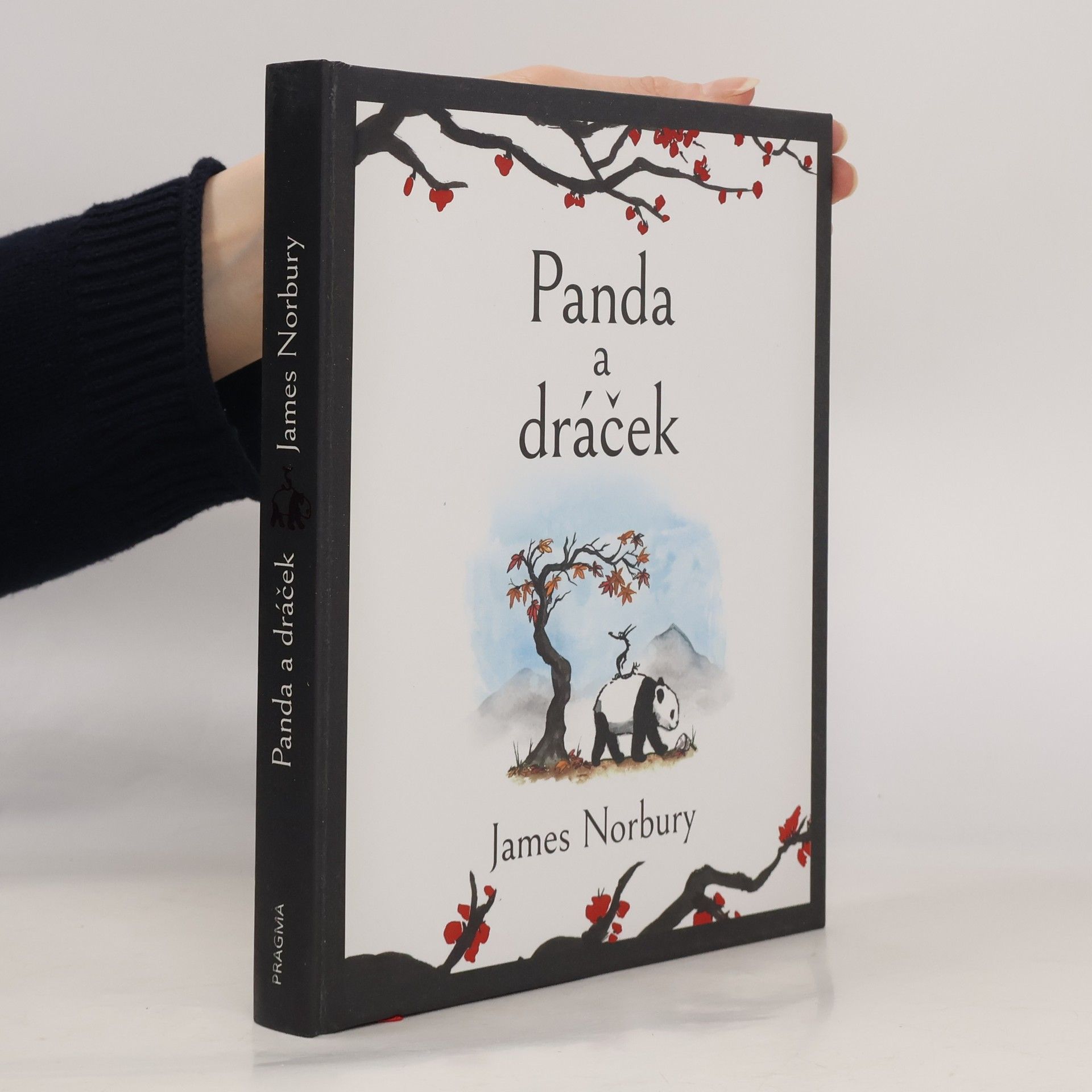 James Norbury Panda a dráček