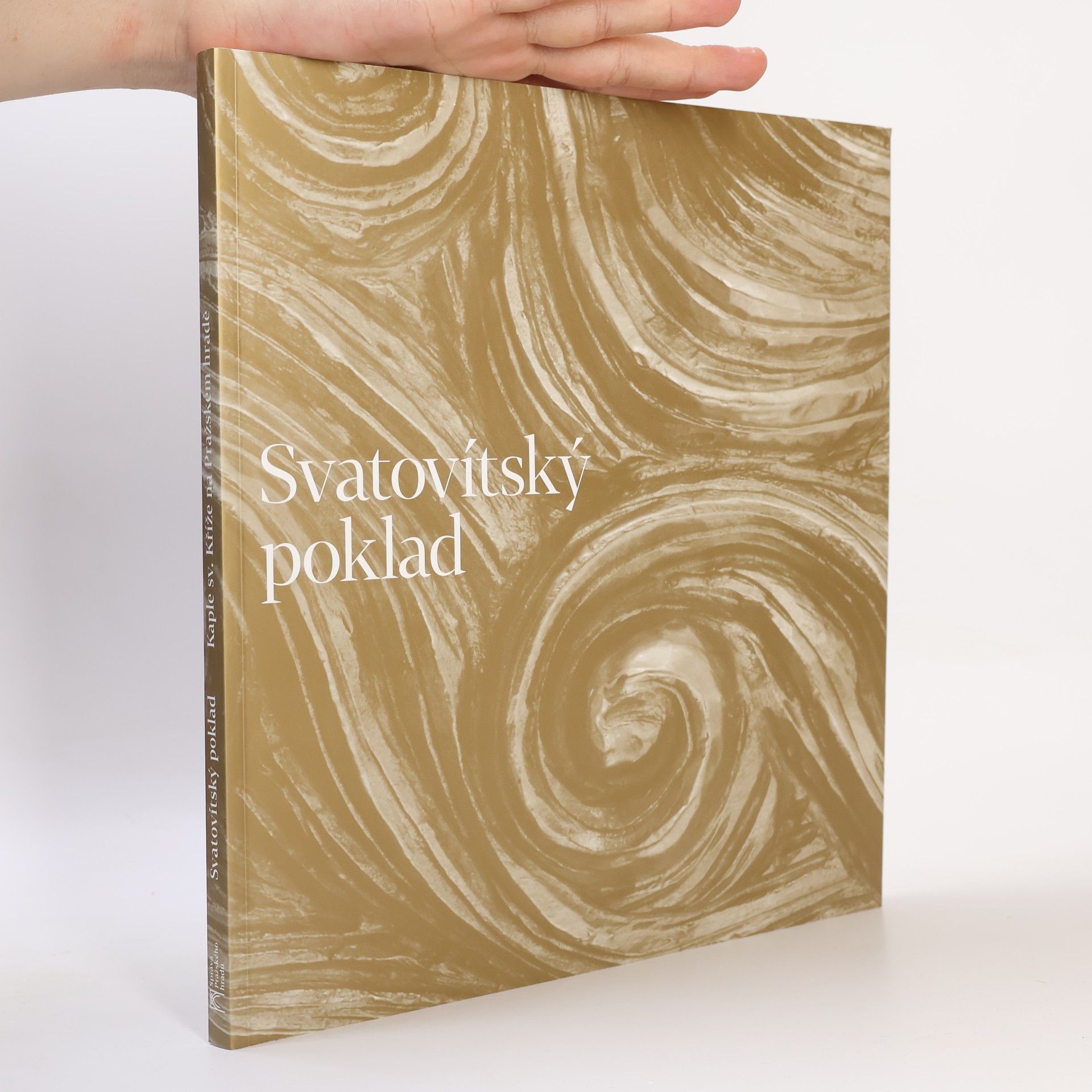 Ivana Kyzourová Svatovítský poklad