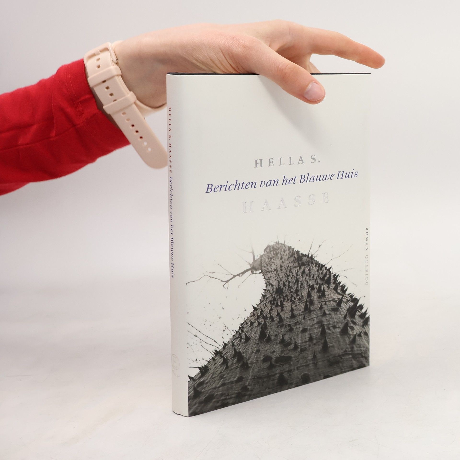 Hella Haasse Berichten van het Blauwe Huis / druk 18