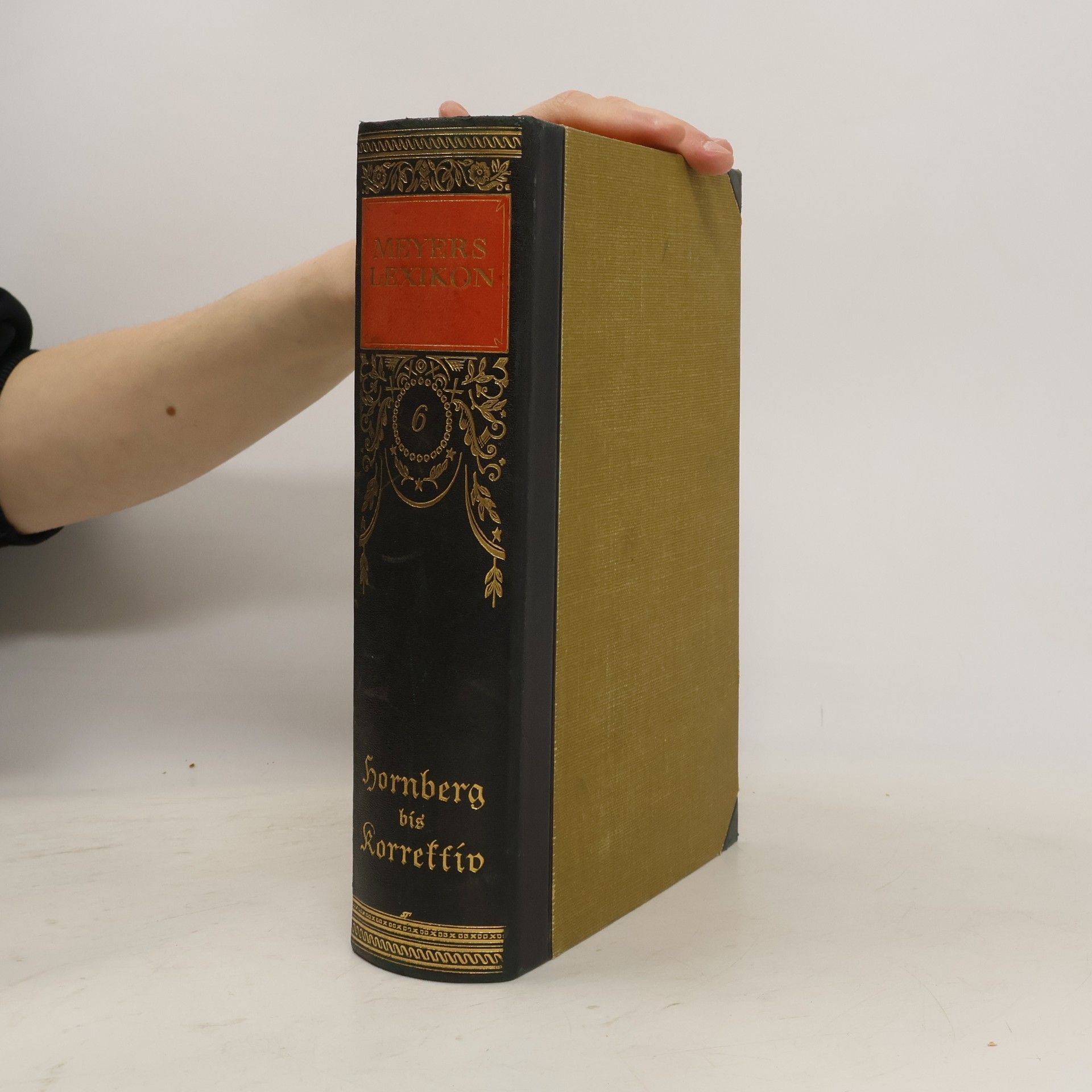 Kolektiv autorů Meyers Lexikon 6. Hornberg - Korrektiv