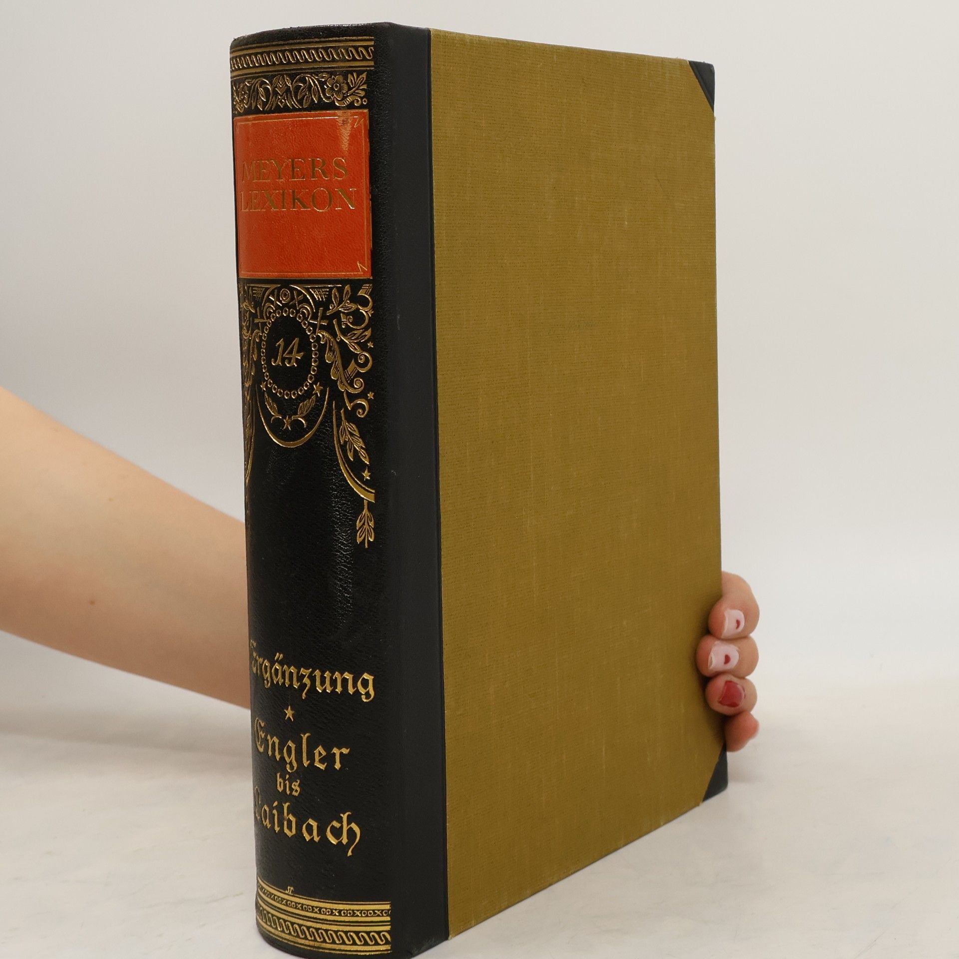 Kolektív autorov Meyers Lexikon 14