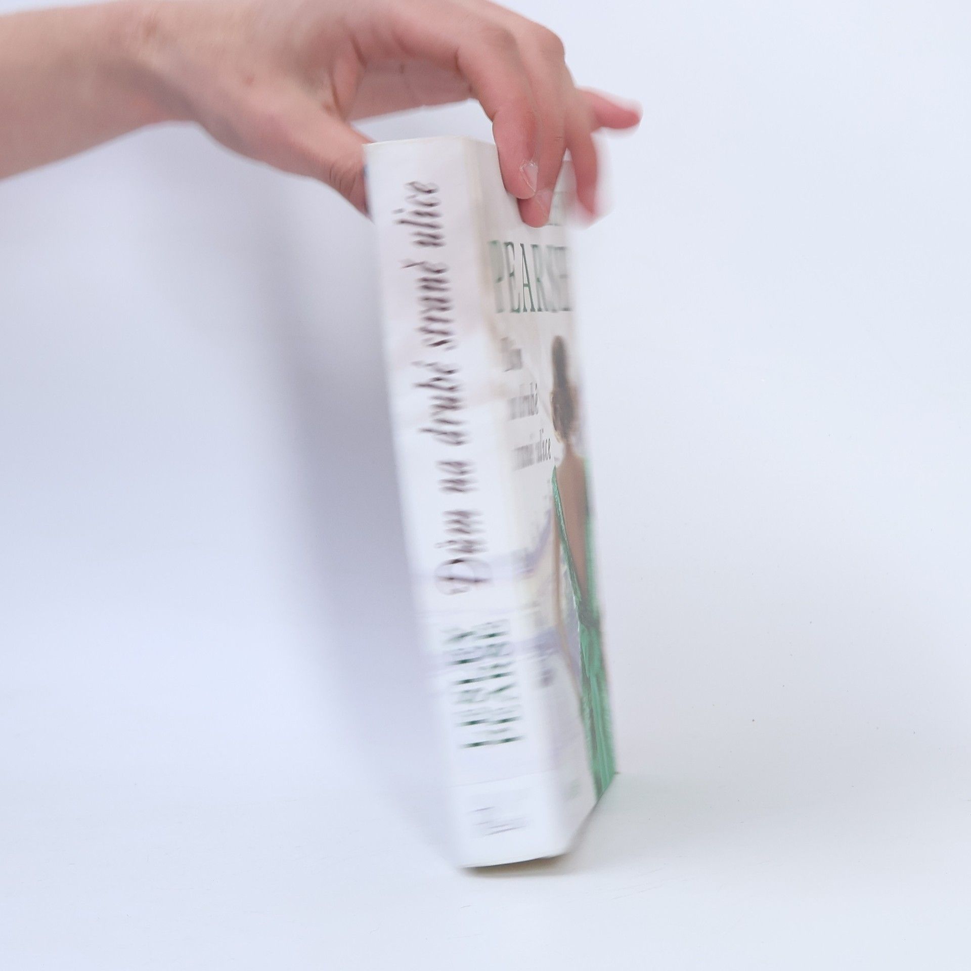 Lesley Pearse Dům na druhé straně ulice